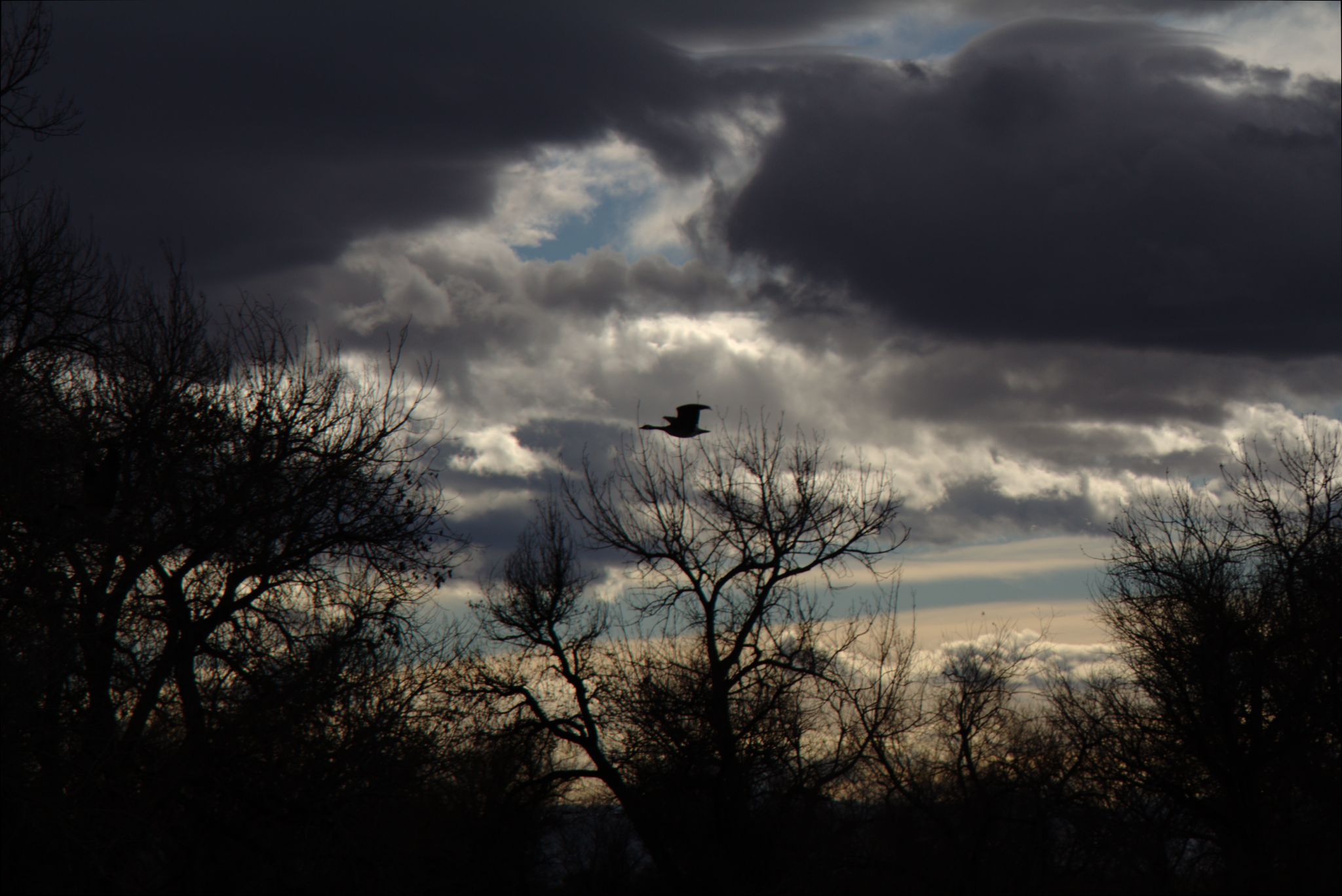 Barr Lake Nature Center