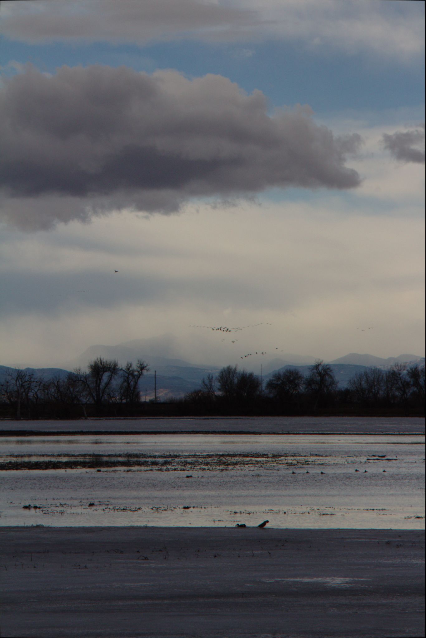 Barr Lake Nature Center