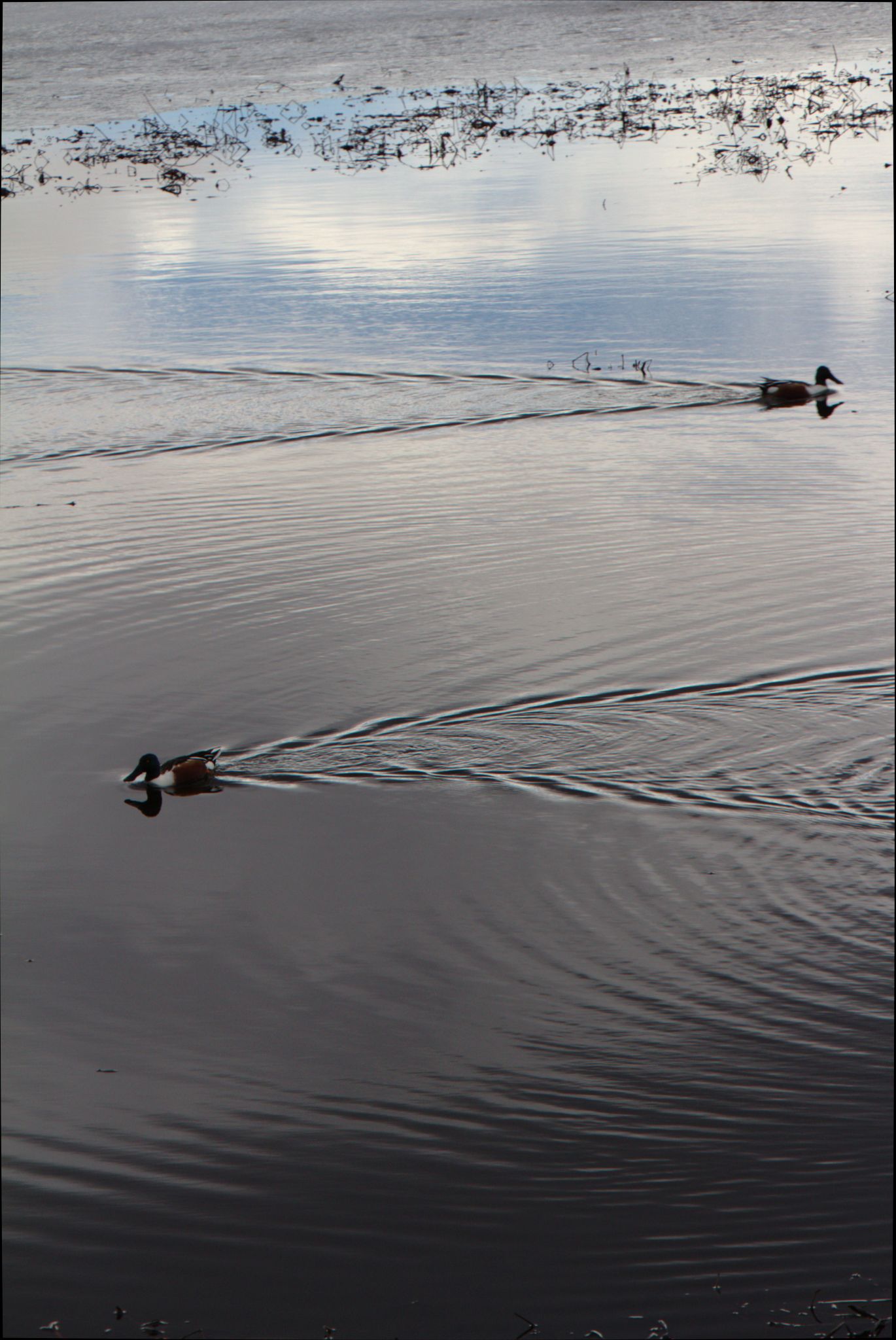 Barr Lake Nature Center