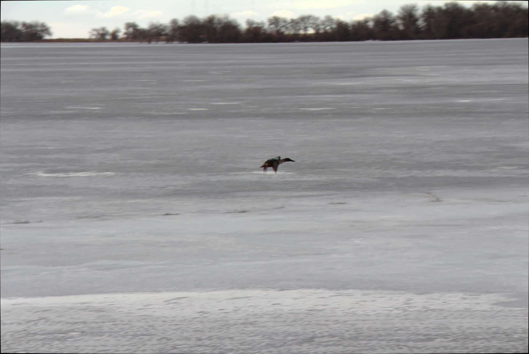 Barr Lake Nature Center