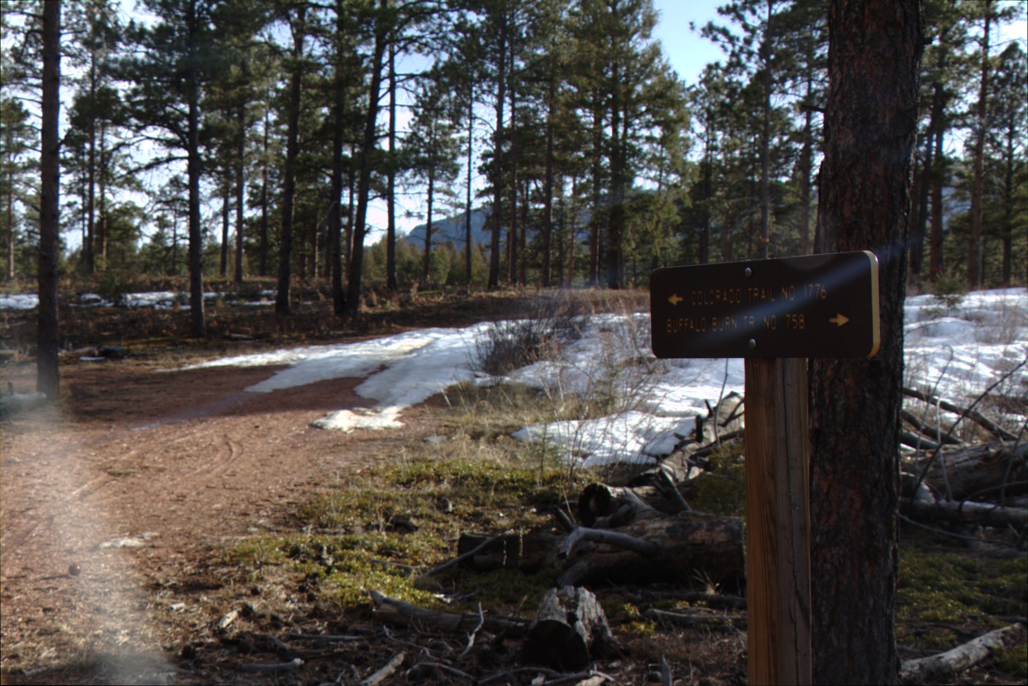 Little Scraggy Trailhead