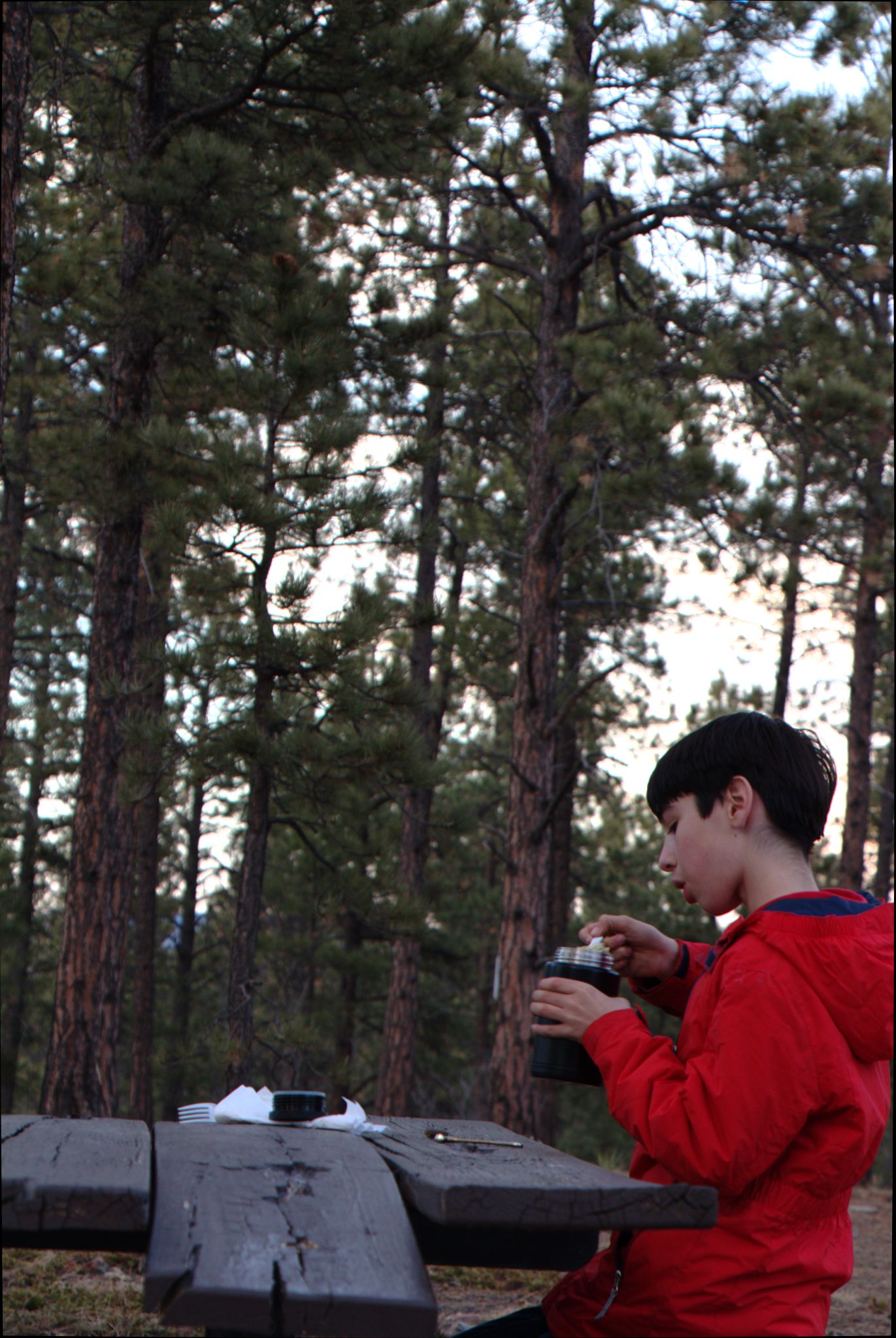 Little Scraggy Trailhead