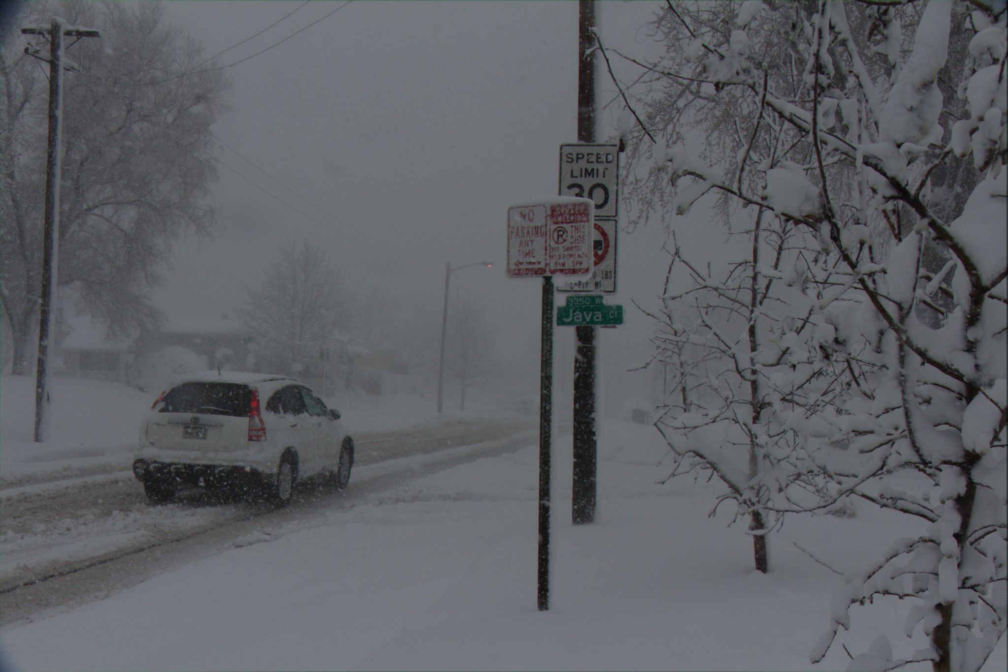 Springtime Blizzard in Denver