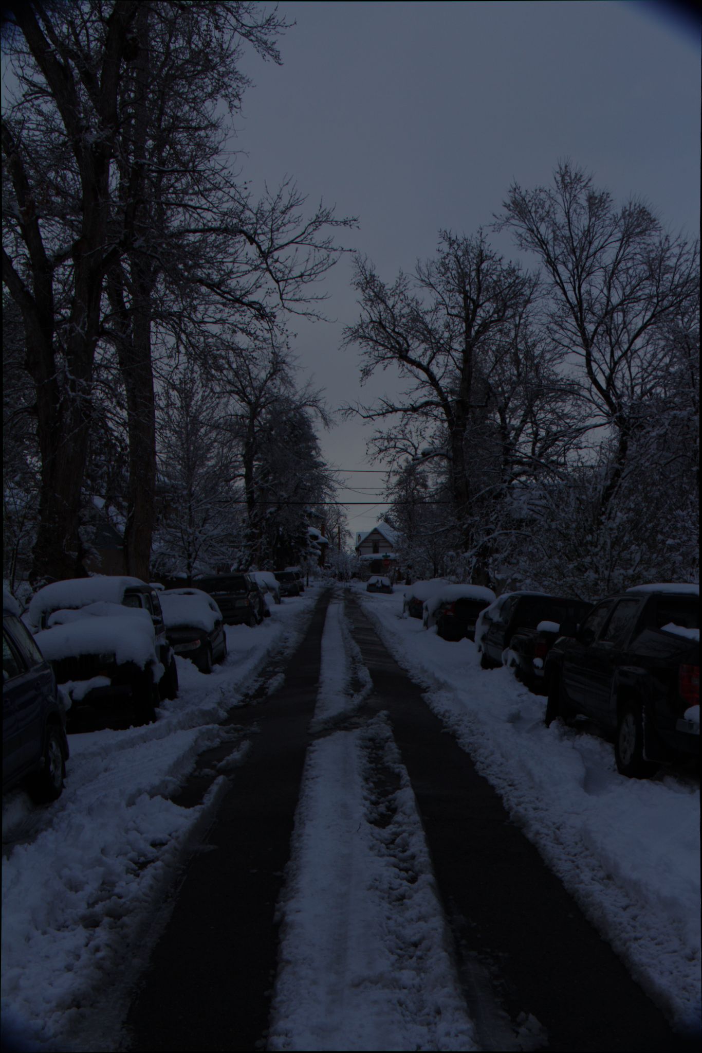 Springtime Blizzard in Denver