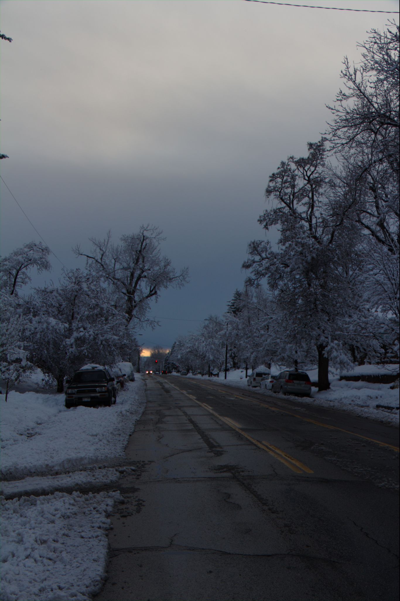 Springtime Blizzard in Denver