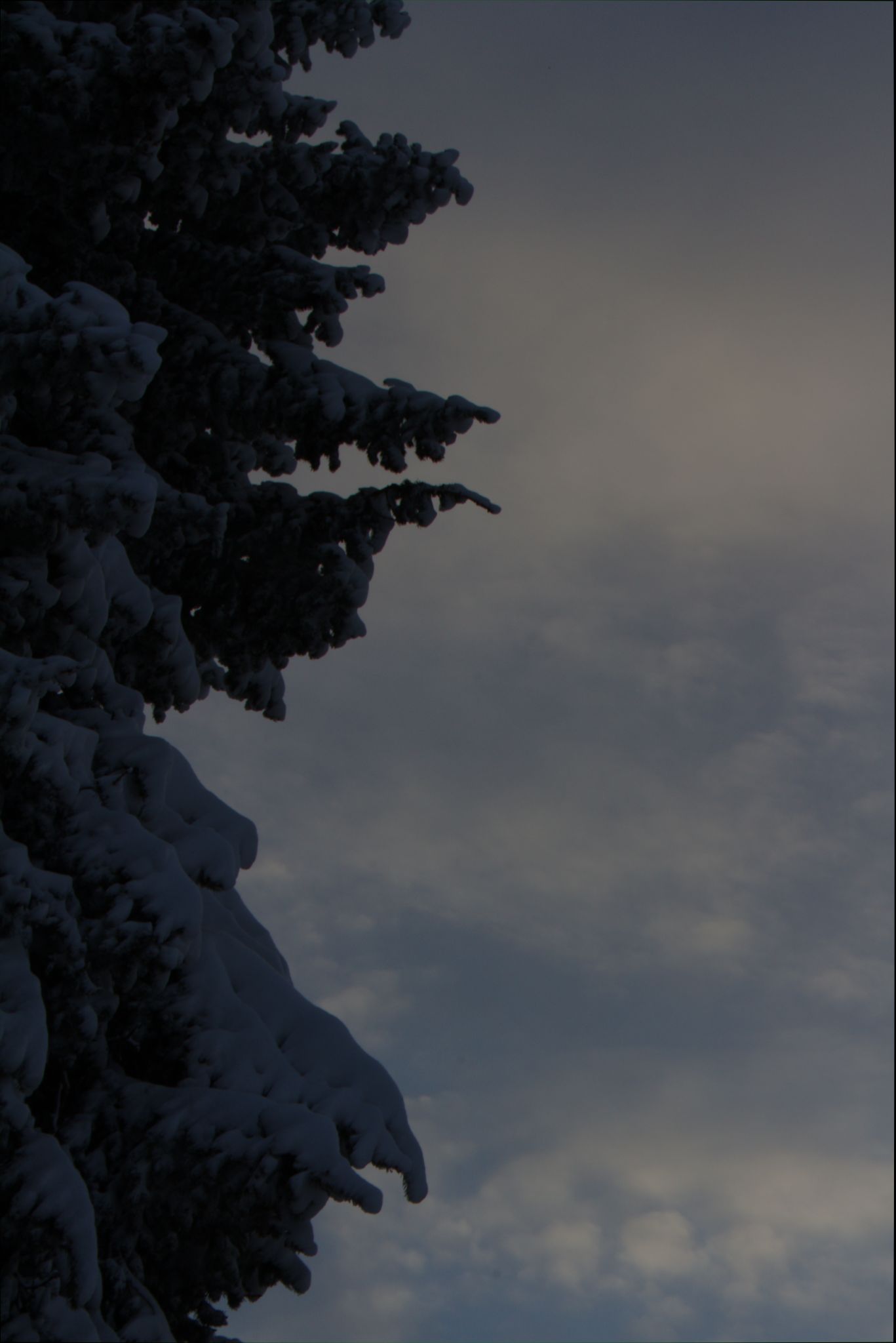 Springtime Blizzard in Denver