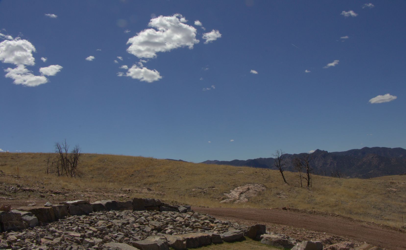Royal Gorge Bridge / Skyline Drive