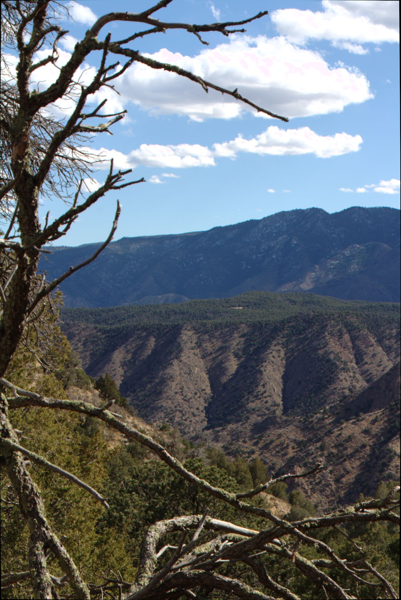 Royal Gorge Bridge / Skyline Drive