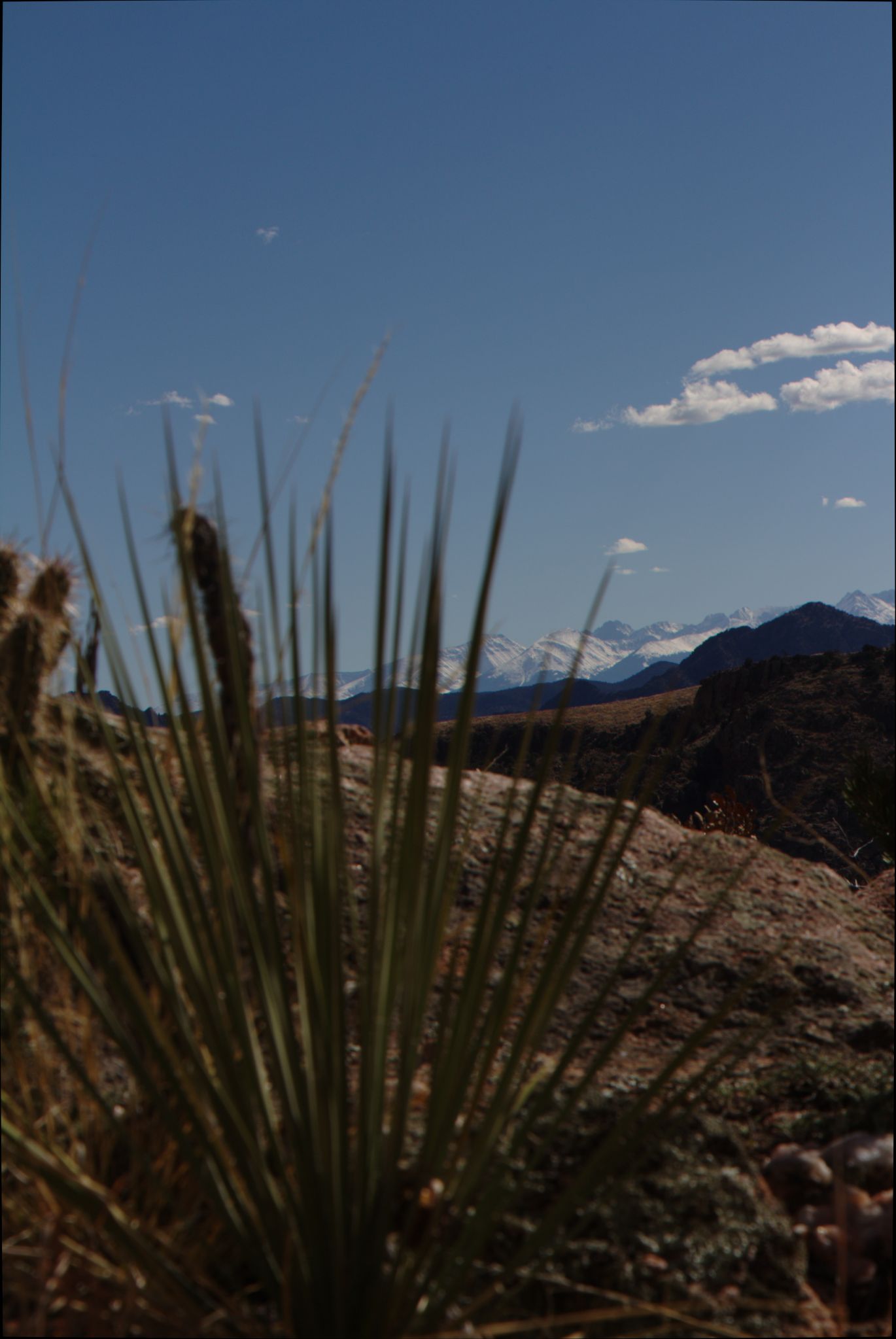 Royal Gorge Bridge / Skyline Drive