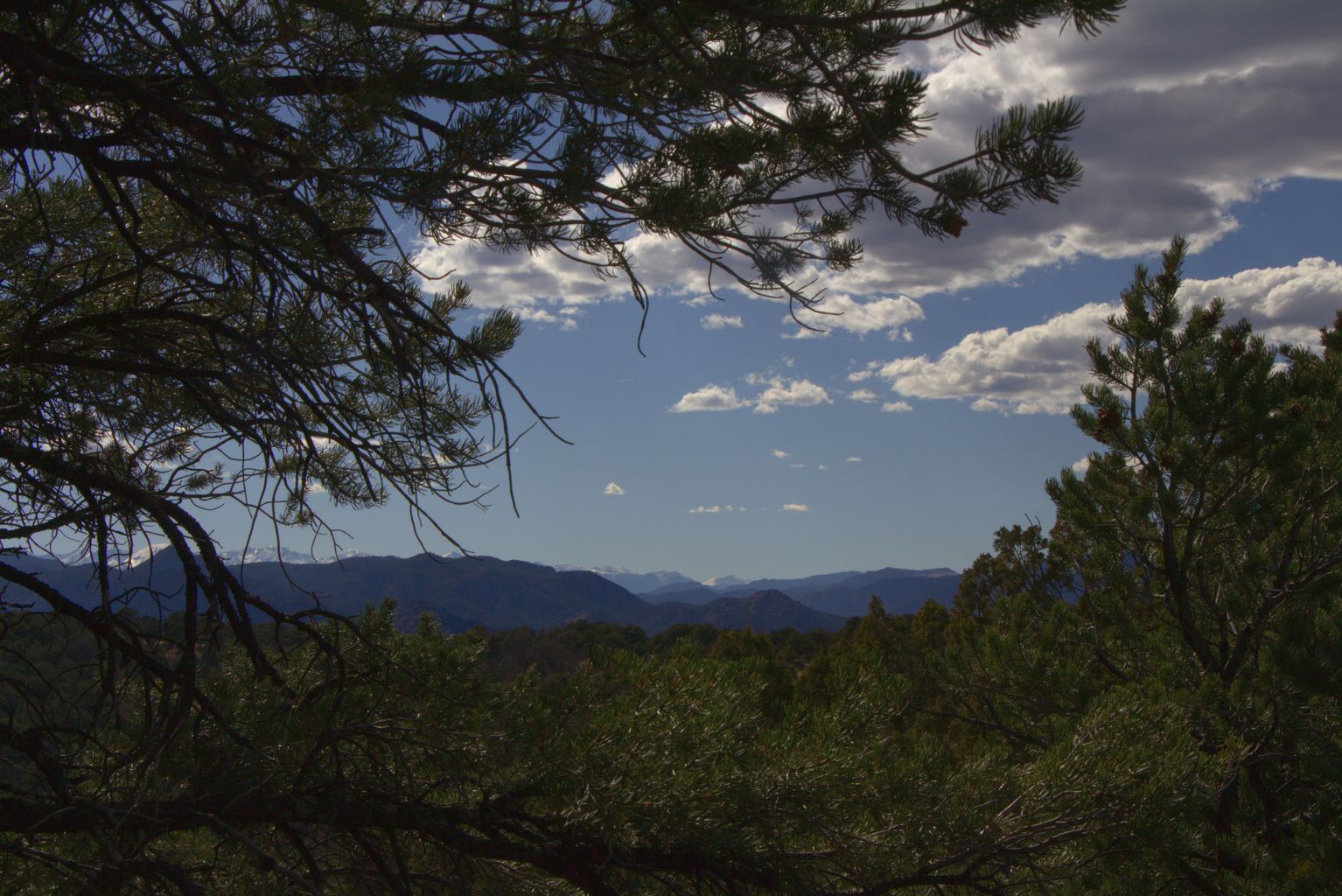 Royal Gorge Bridge / Skyline Drive