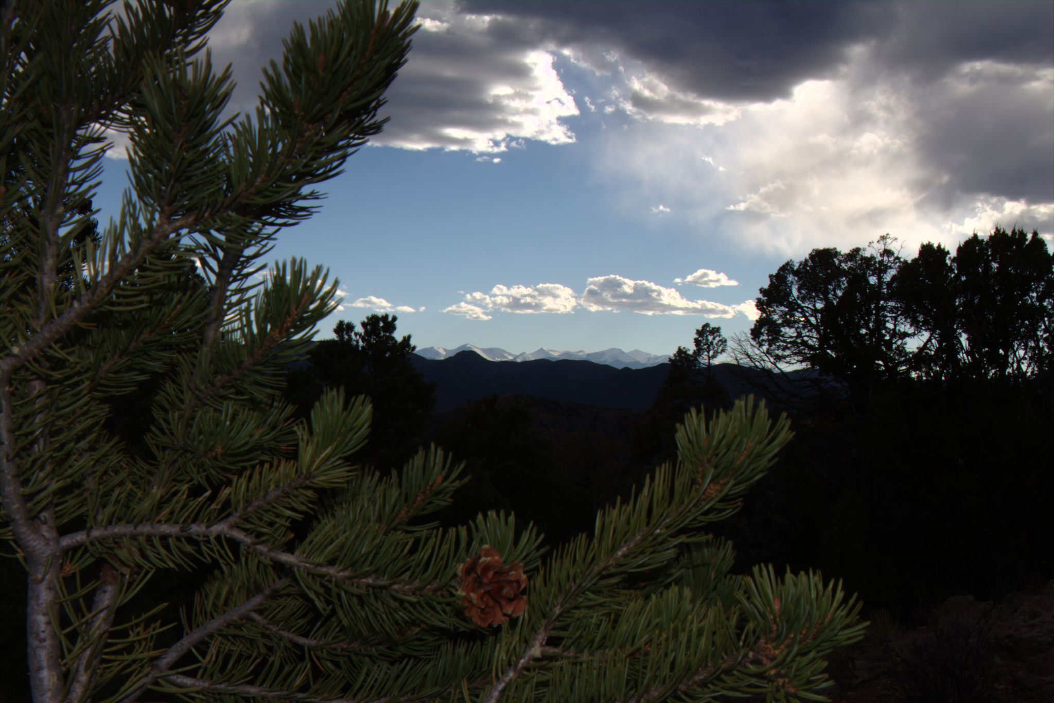 Royal Gorge Bridge / Skyline Drive