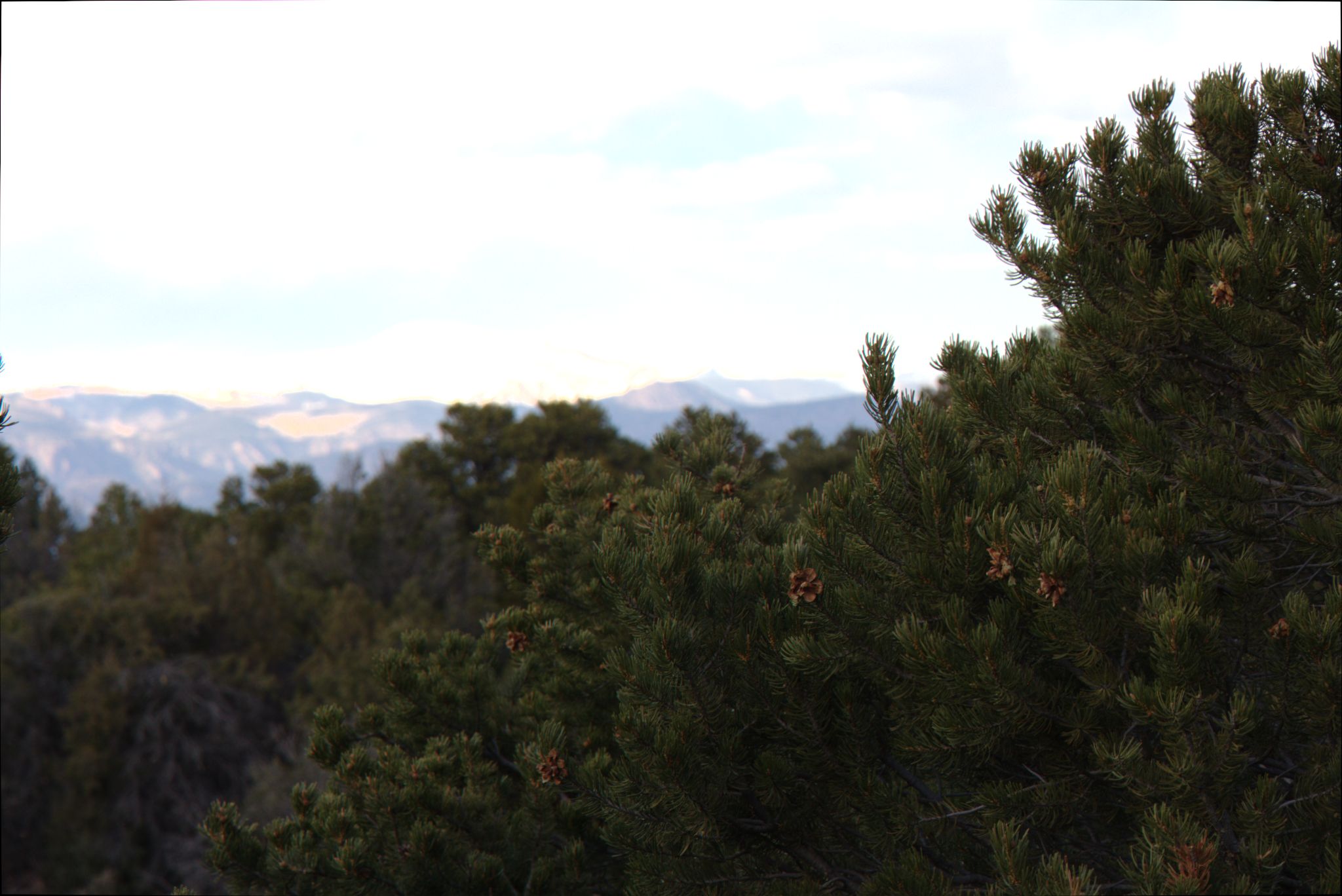 Royal Gorge Bridge / Skyline Drive
