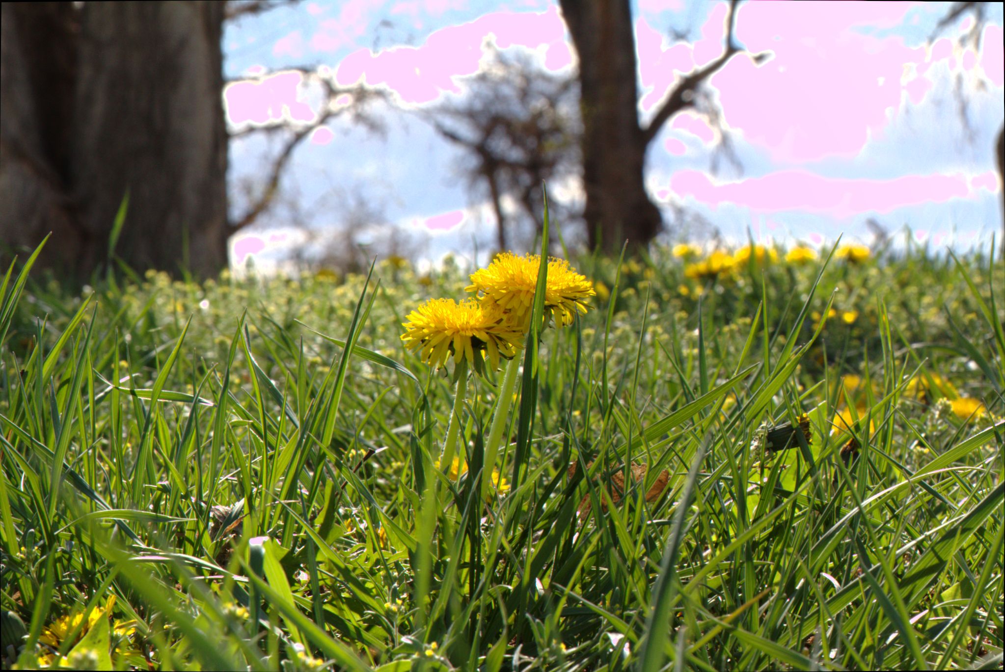 Spring Visit to Barr Lake Nature Center