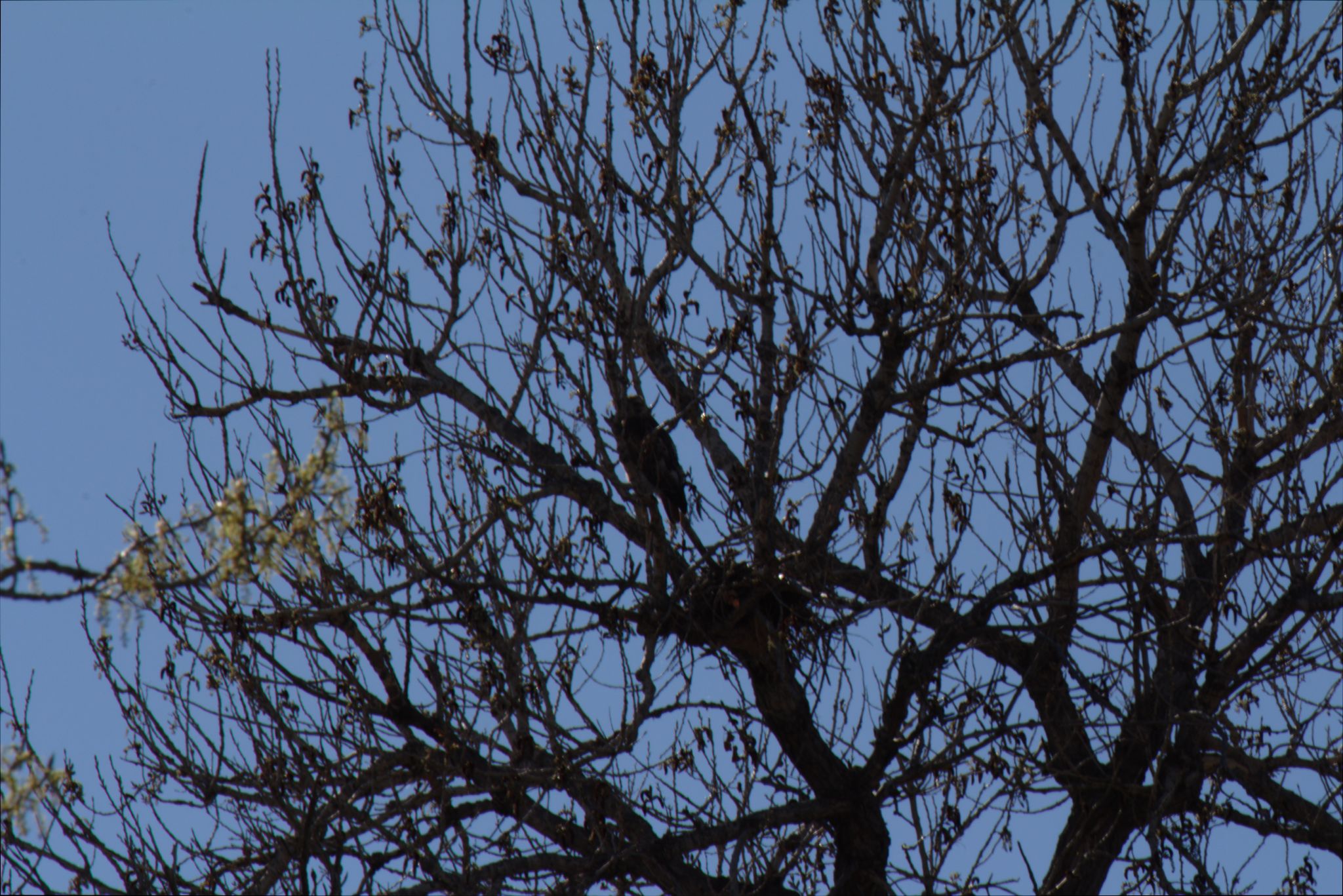 Spring Visit to Barr Lake Nature Center