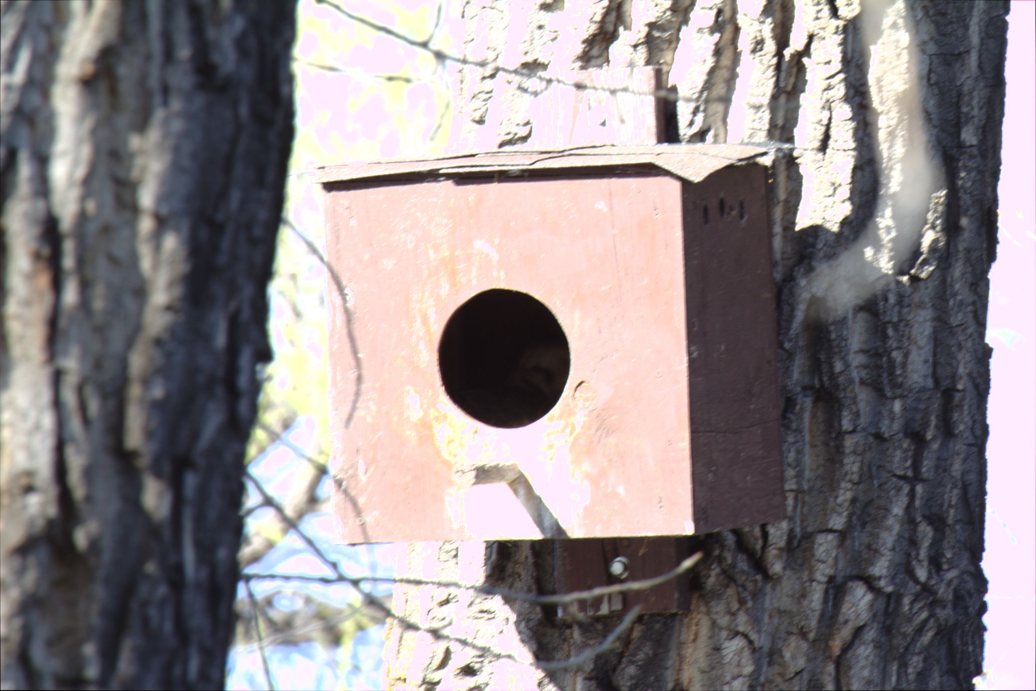 Spring Visit to Barr Lake Nature Center