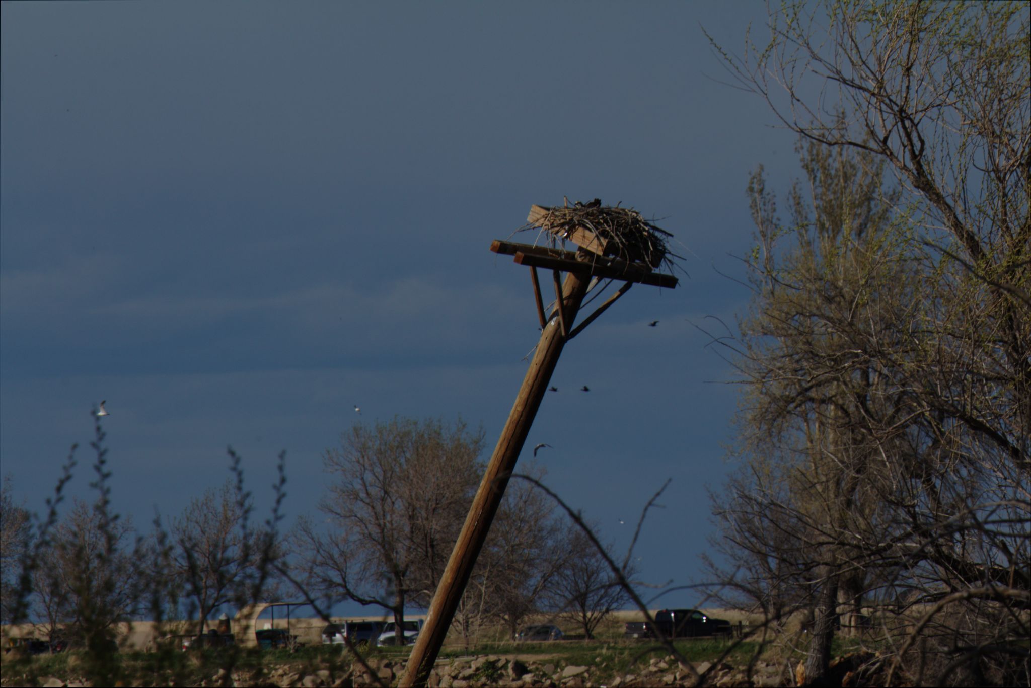 Spring Visit to Barr Lake Nature Center