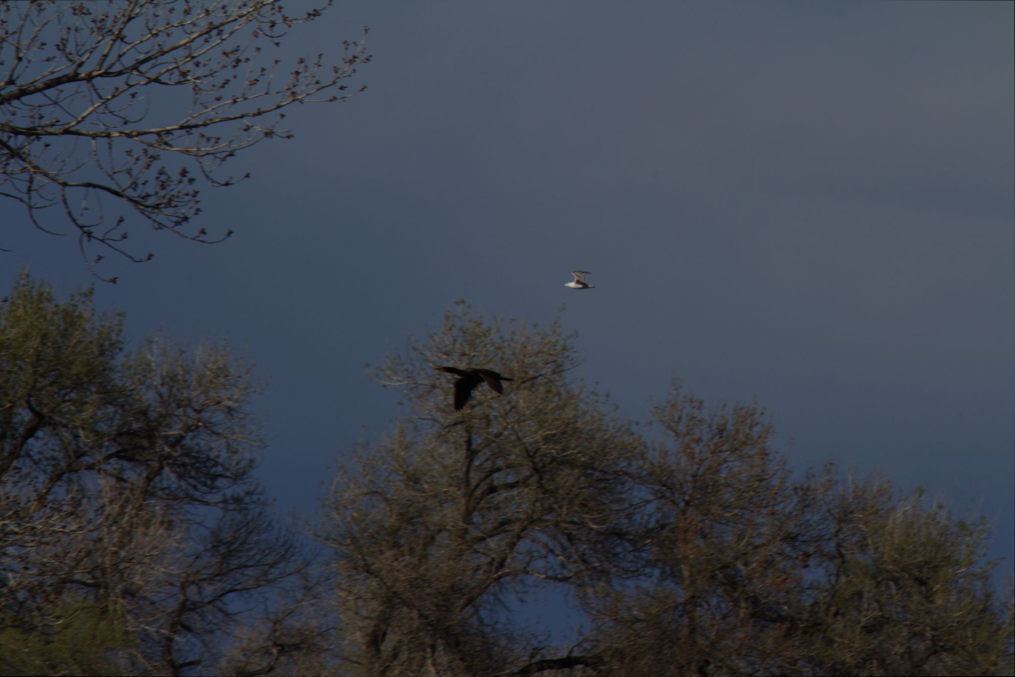 Spring Visit to Barr Lake Nature Center