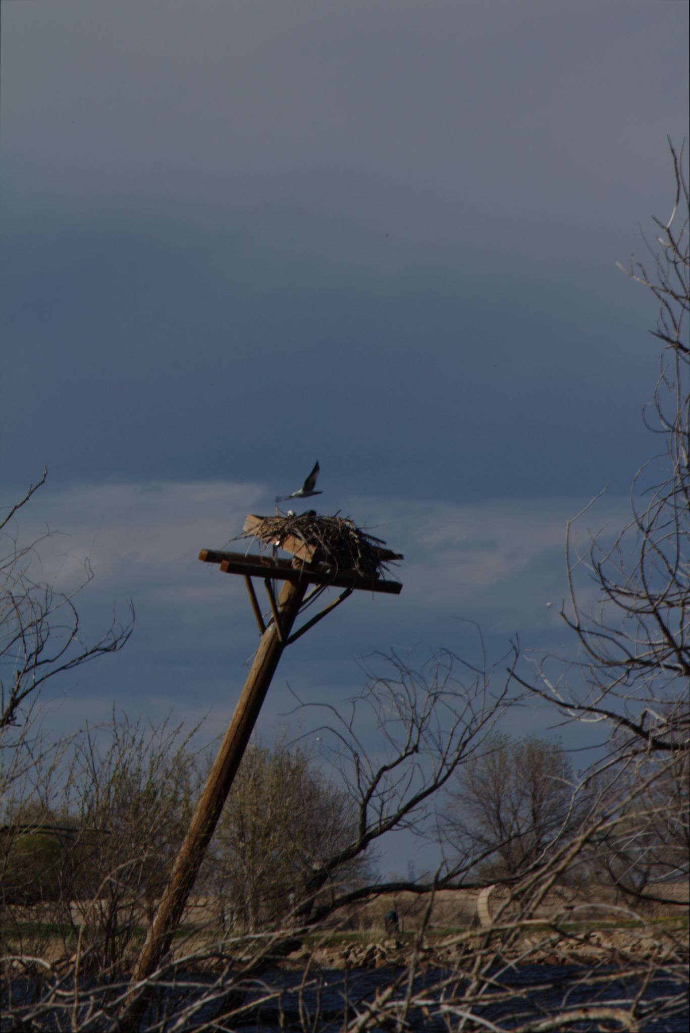 Spring Visit to Barr Lake Nature Center