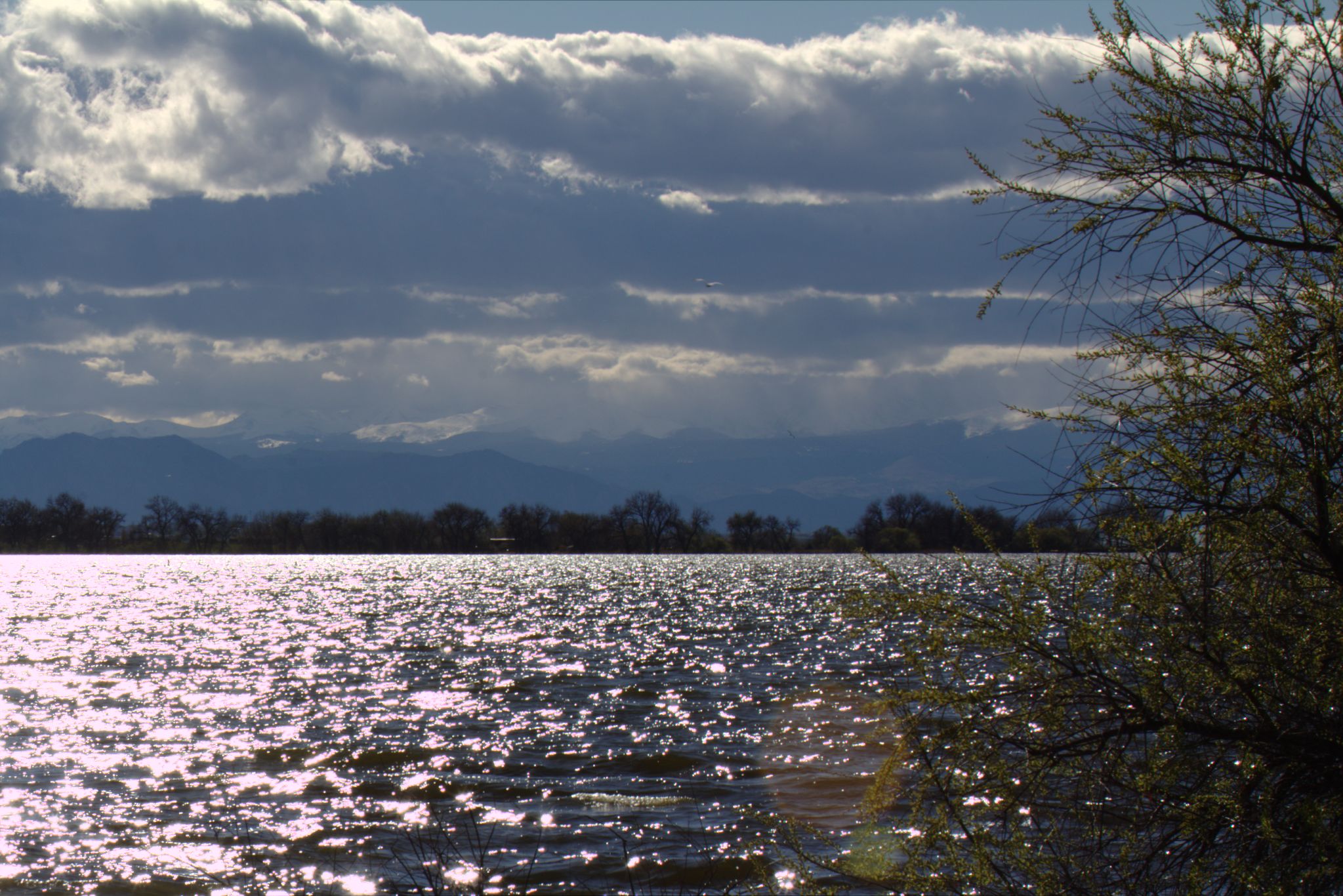 Spring Visit to Barr Lake Nature Center