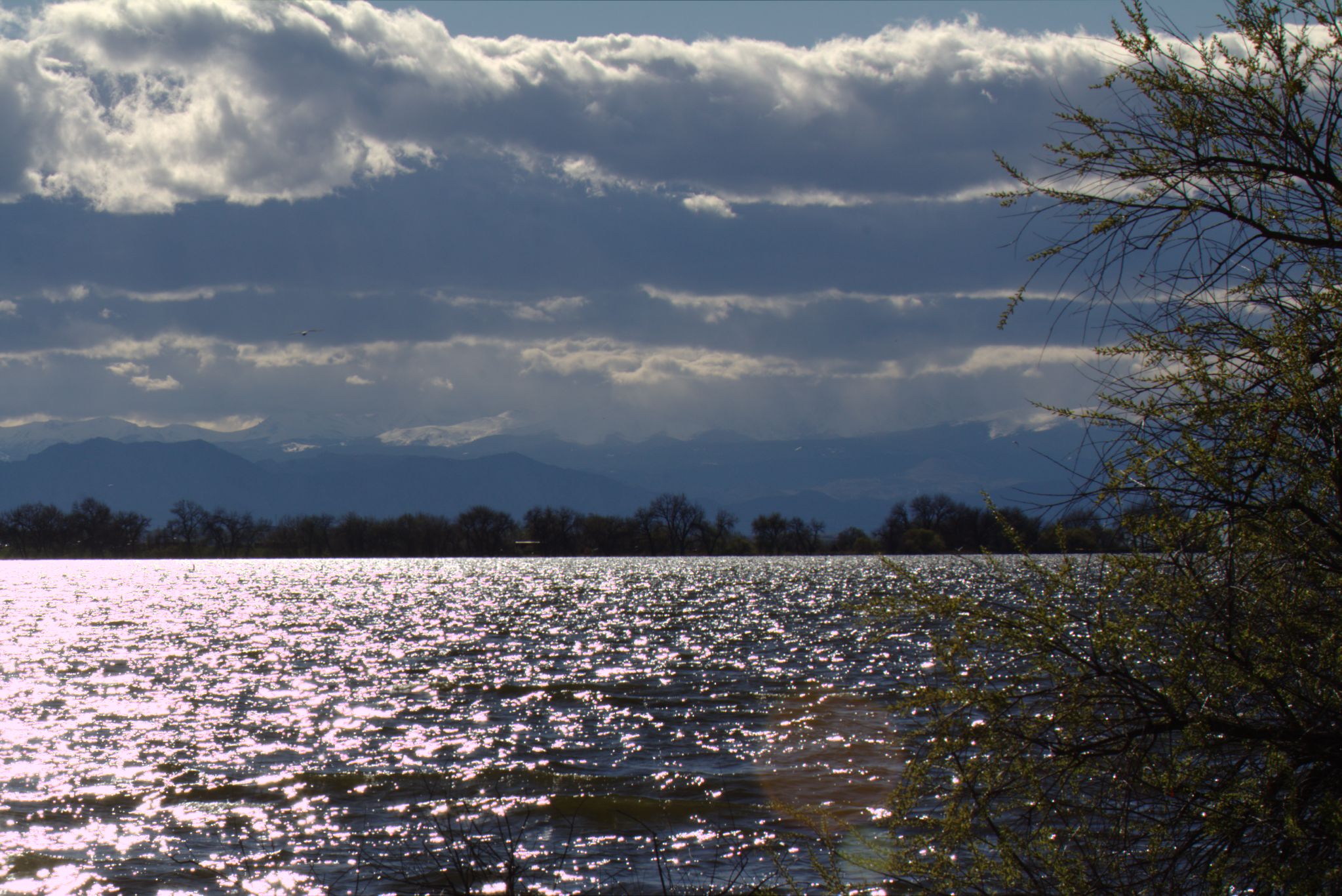 Spring Visit to Barr Lake Nature Center