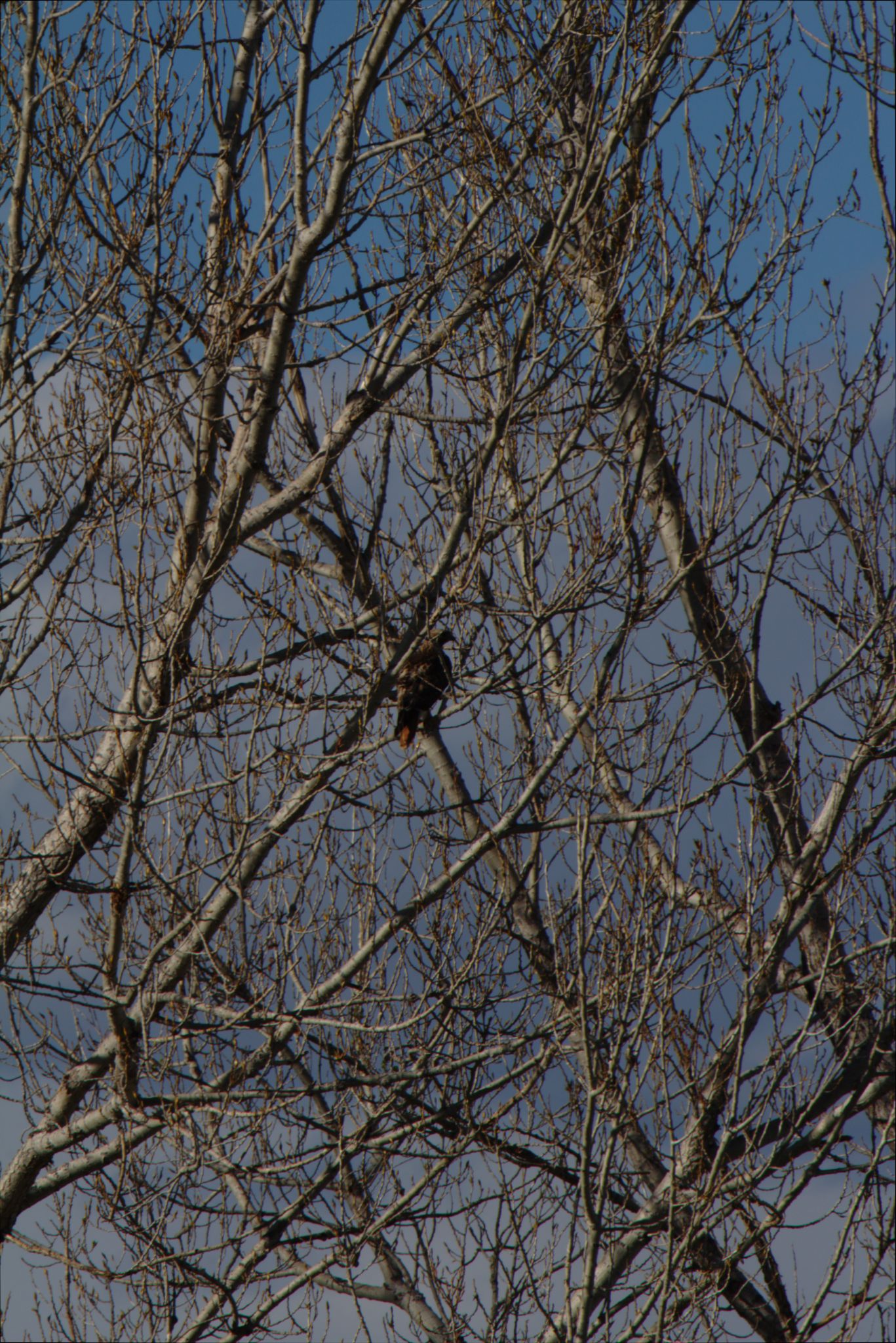 Spring Visit to Barr Lake Nature Center