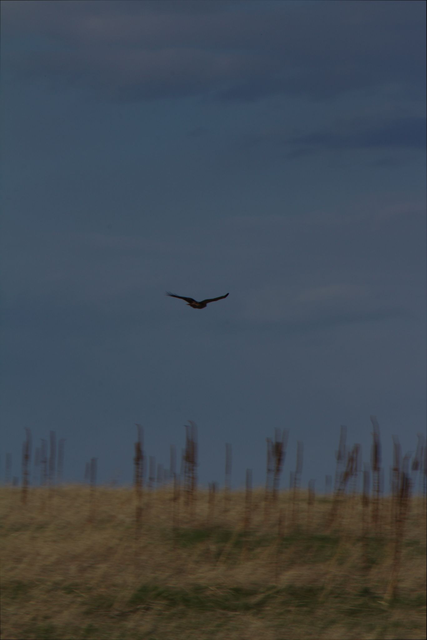 Spring Visit to Barr Lake Nature Center