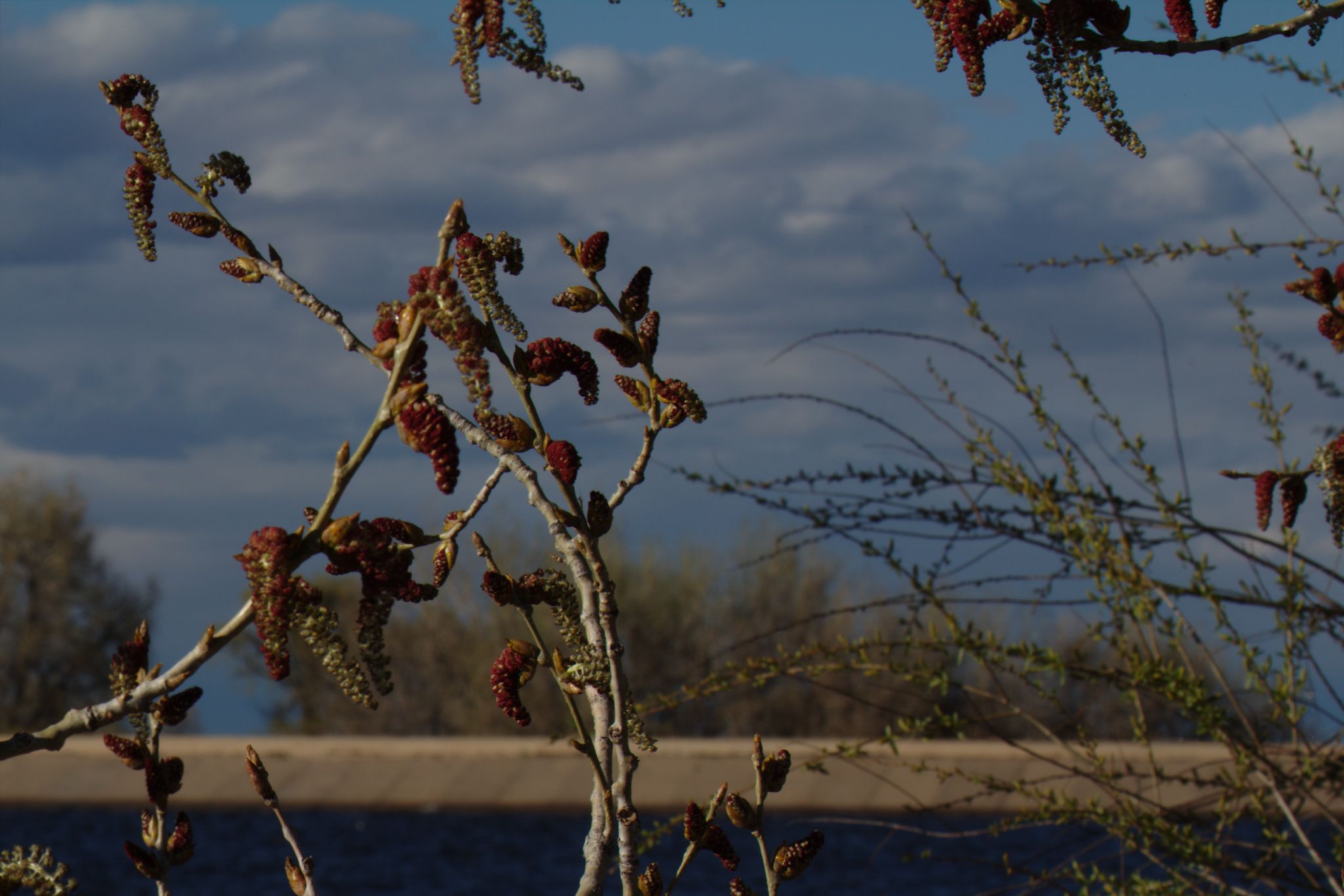 Spring Visit to Barr Lake Nature Center