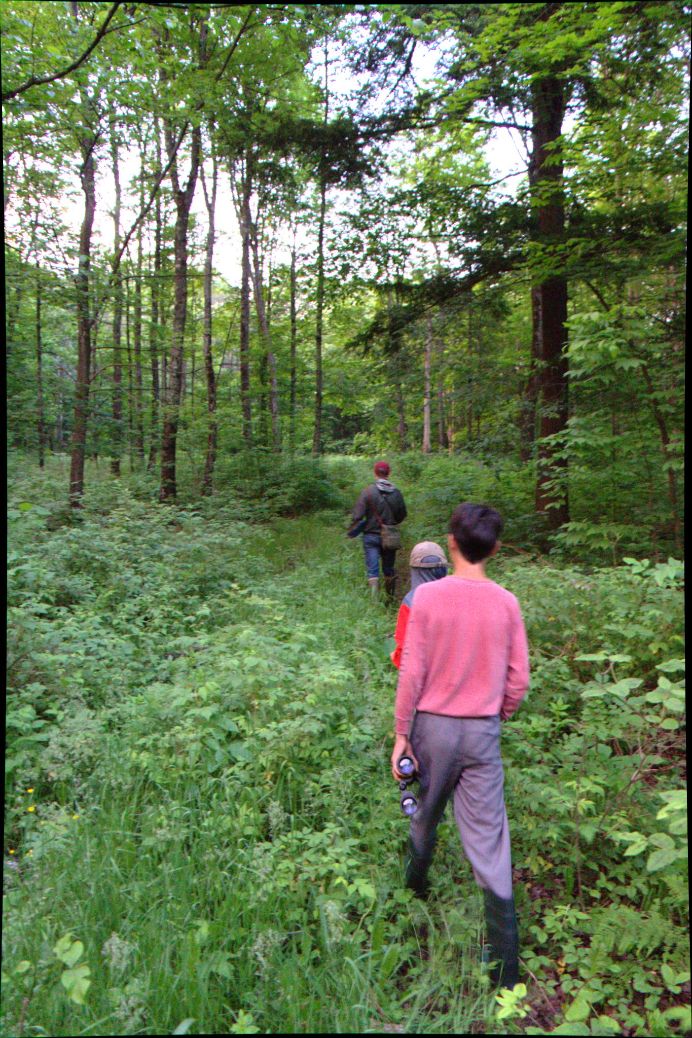 Epic Trip 2016 (Nicolet National Forest)
