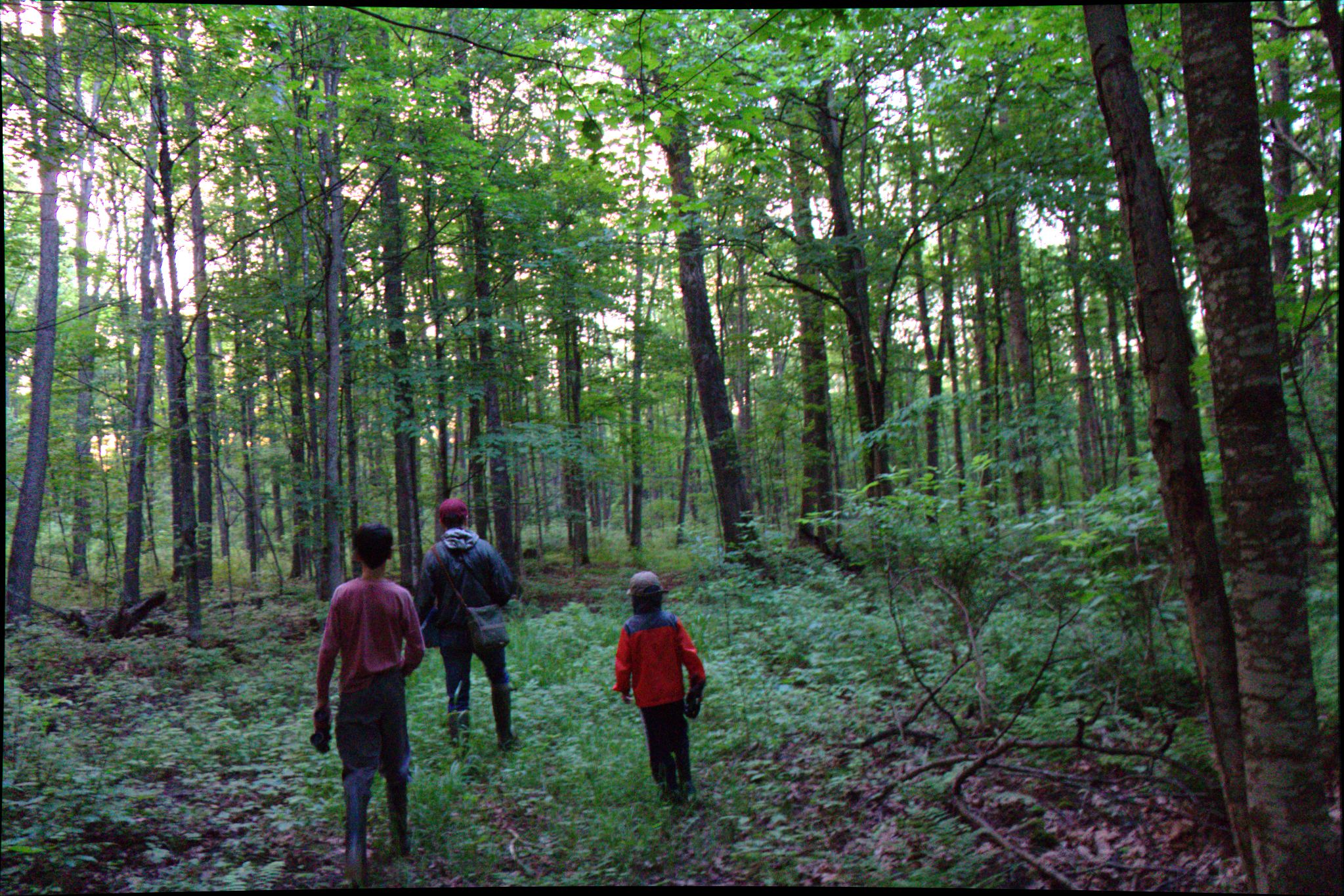 Epic Trip 2016 (Nicolet National Forest)