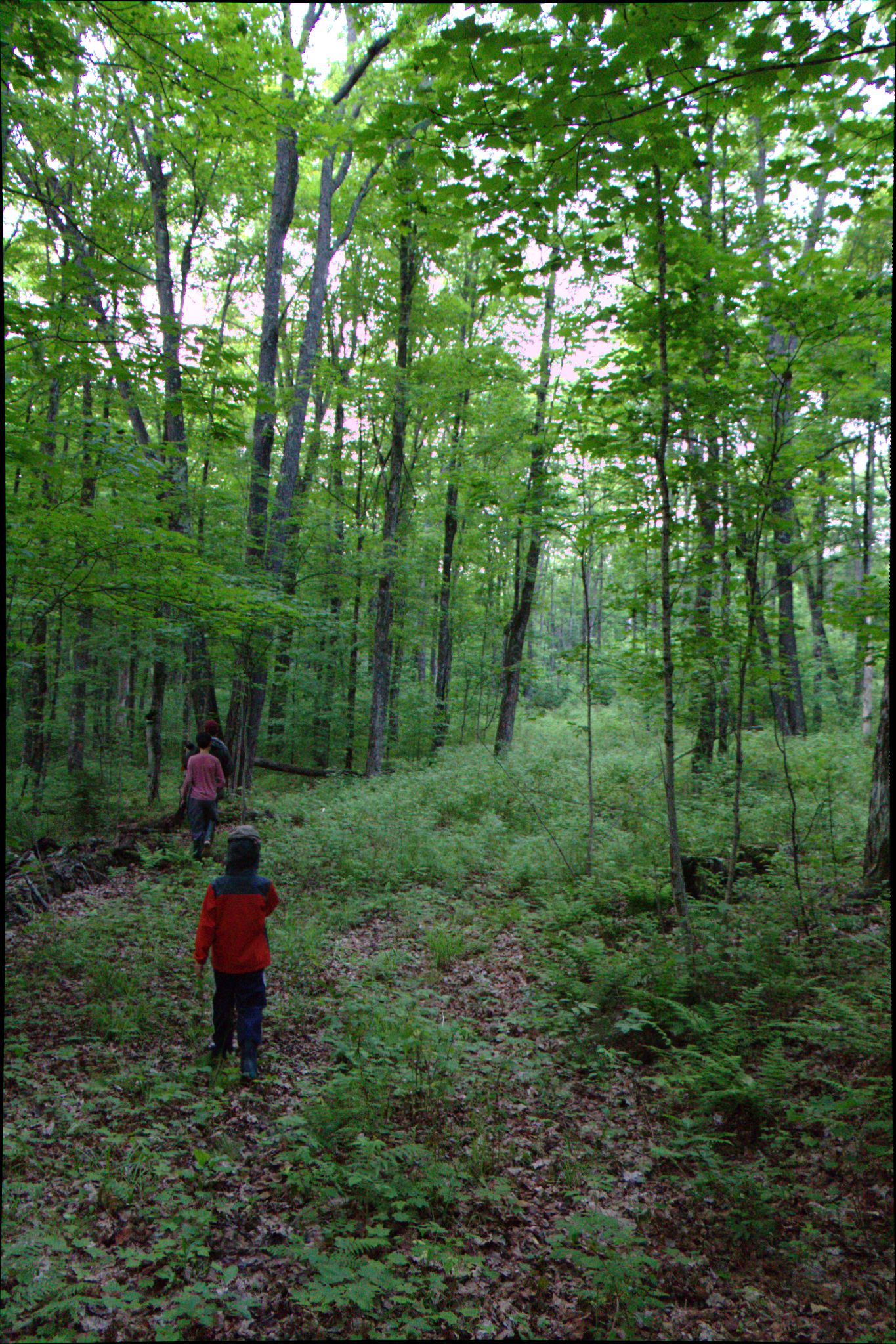 Epic Trip 2016 (Nicolet National Forest)