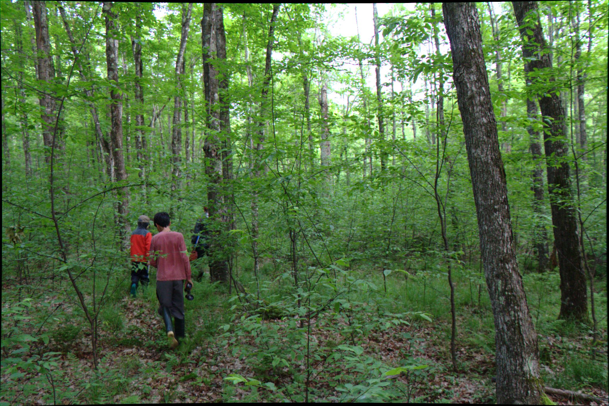 Epic Trip 2016 (Nicolet National Forest)