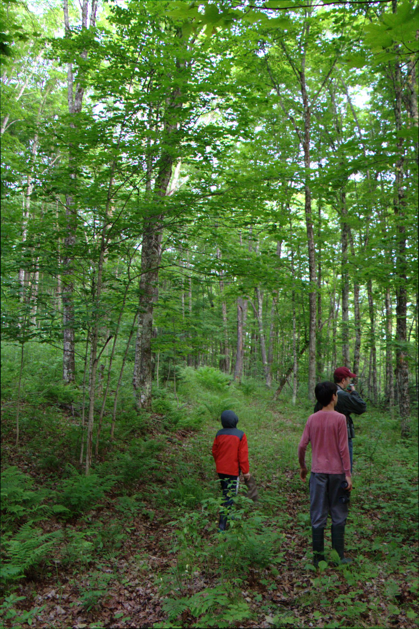 Epic Trip 2016 (Nicolet National Forest)