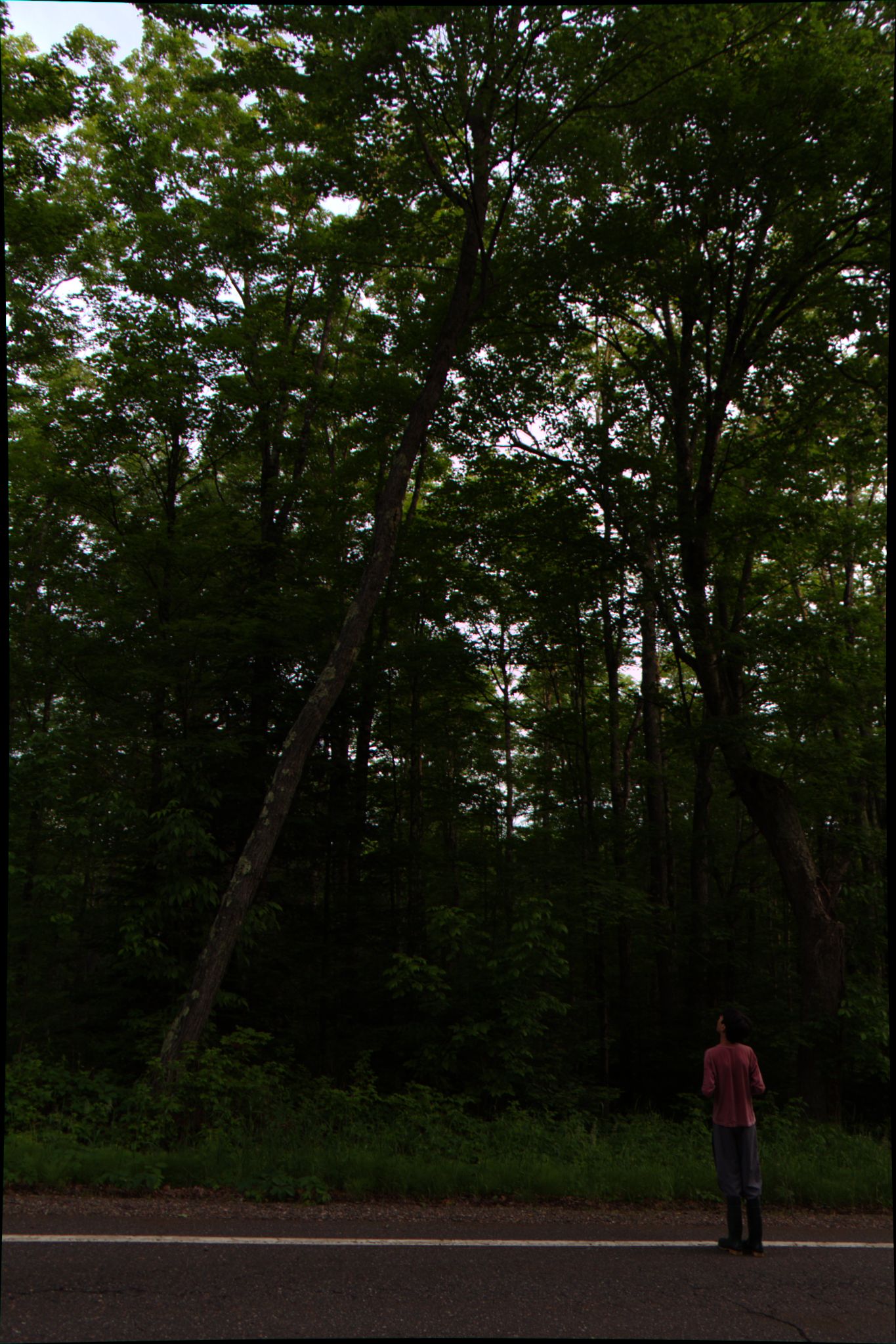 Epic Trip 2016 (Nicolet National Forest)