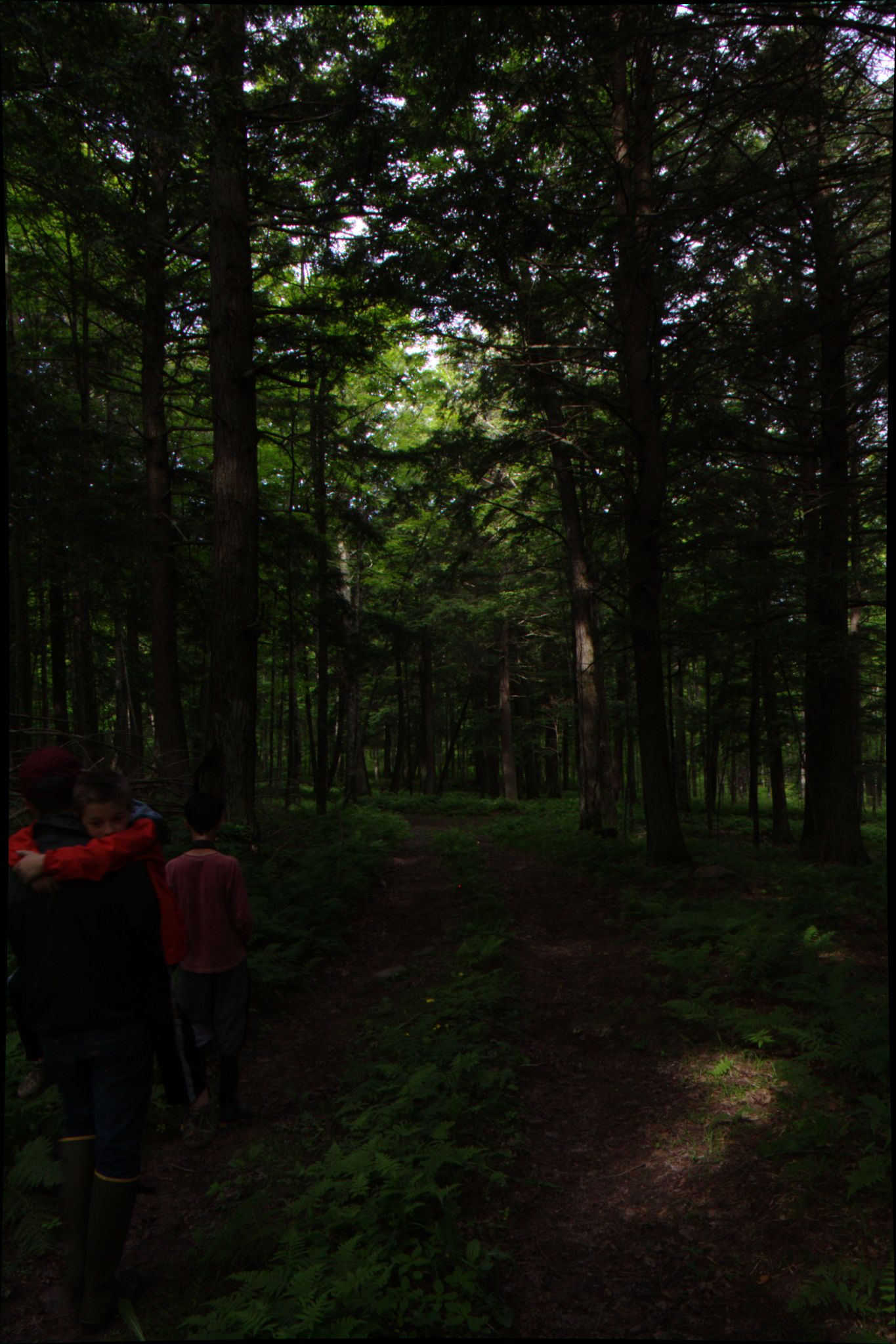 Epic Trip 2016 (Nicolet National Forest)