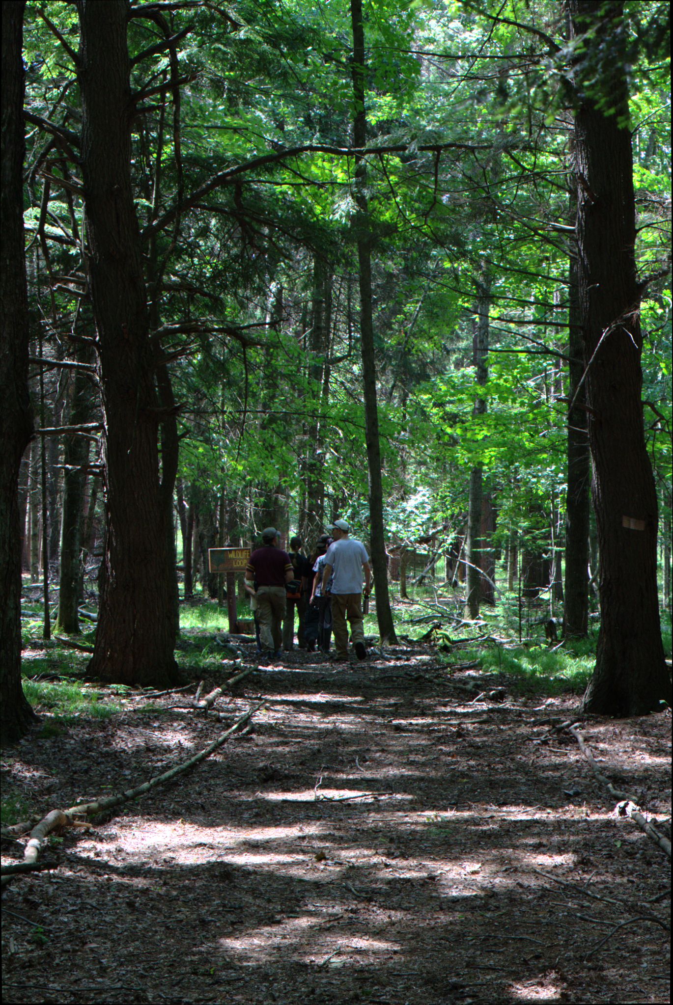 Epic Trip 2016 (Nicolet National Forest)