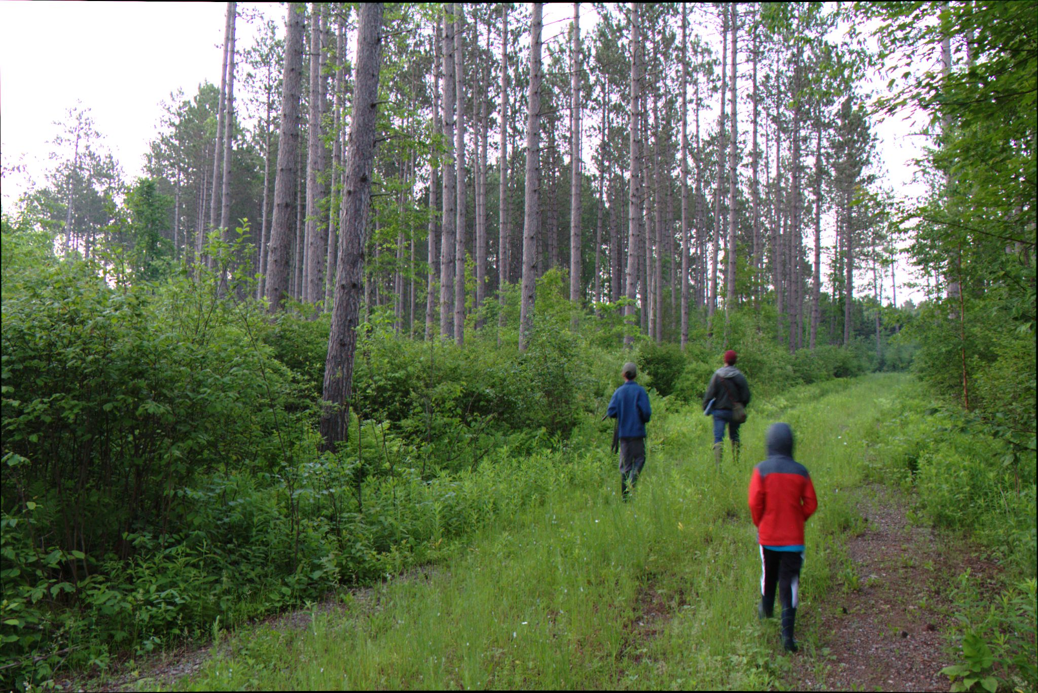 Epic Trip 2016 (Nicolet National Forest)