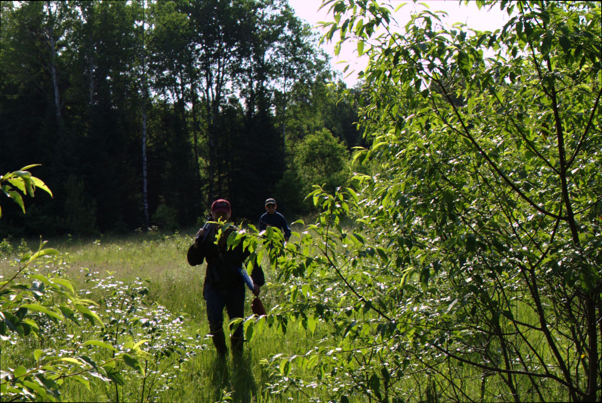 Epic Trip 2016 (Nicolet National Forest)