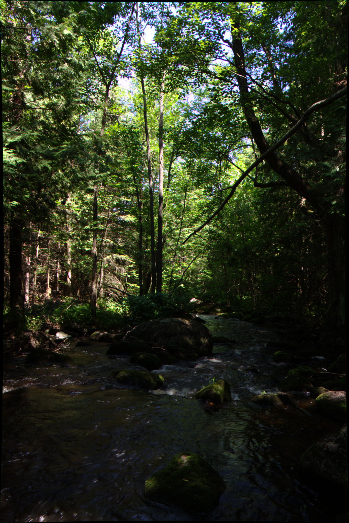 Epic Trip 2016 (Nicolet National Forest)