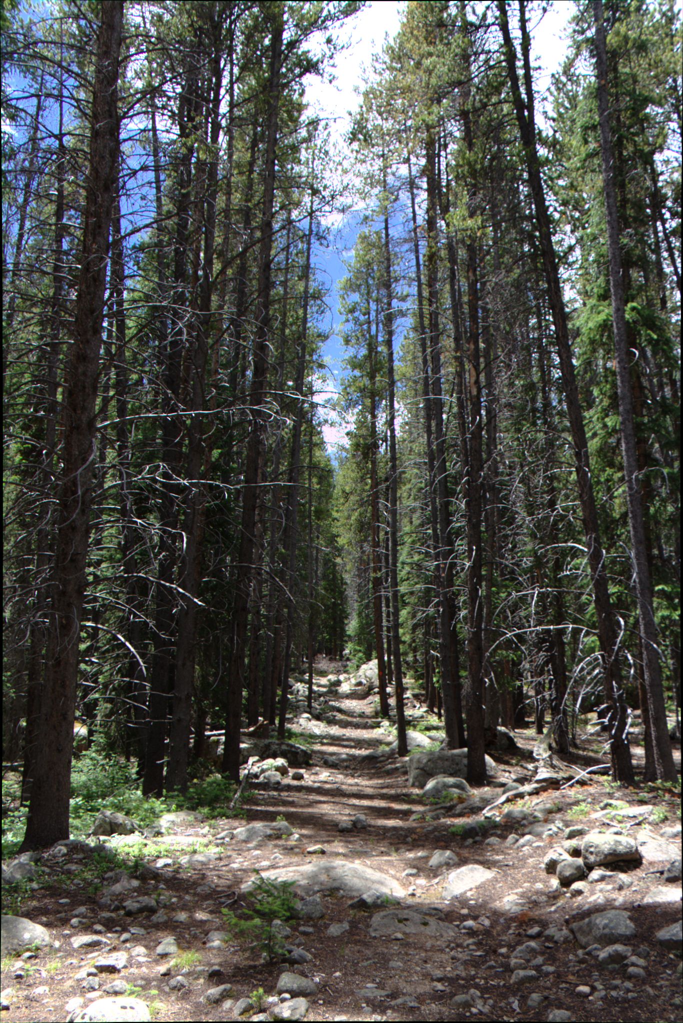 Hiking at Turquoise Lake