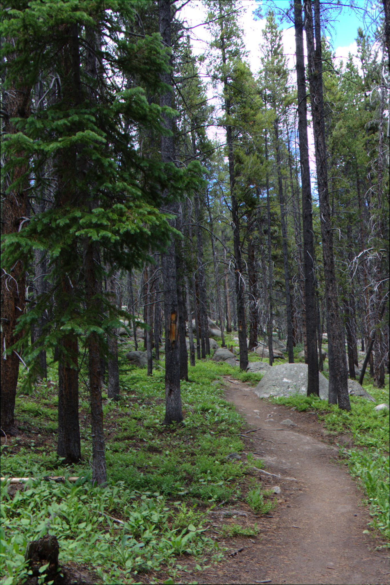 Hiking at Turquoise Lake