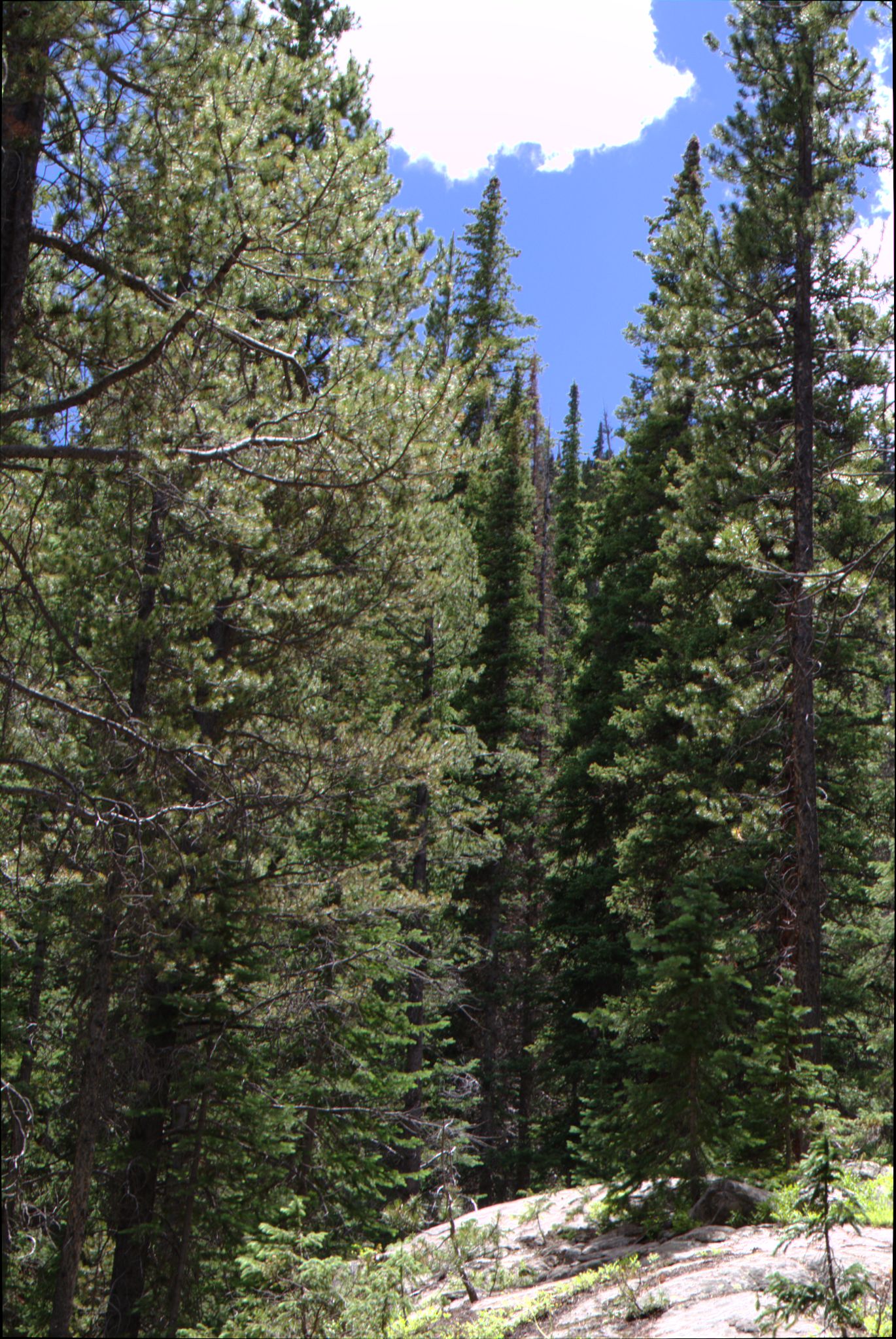 Hiking at Turquoise Lake