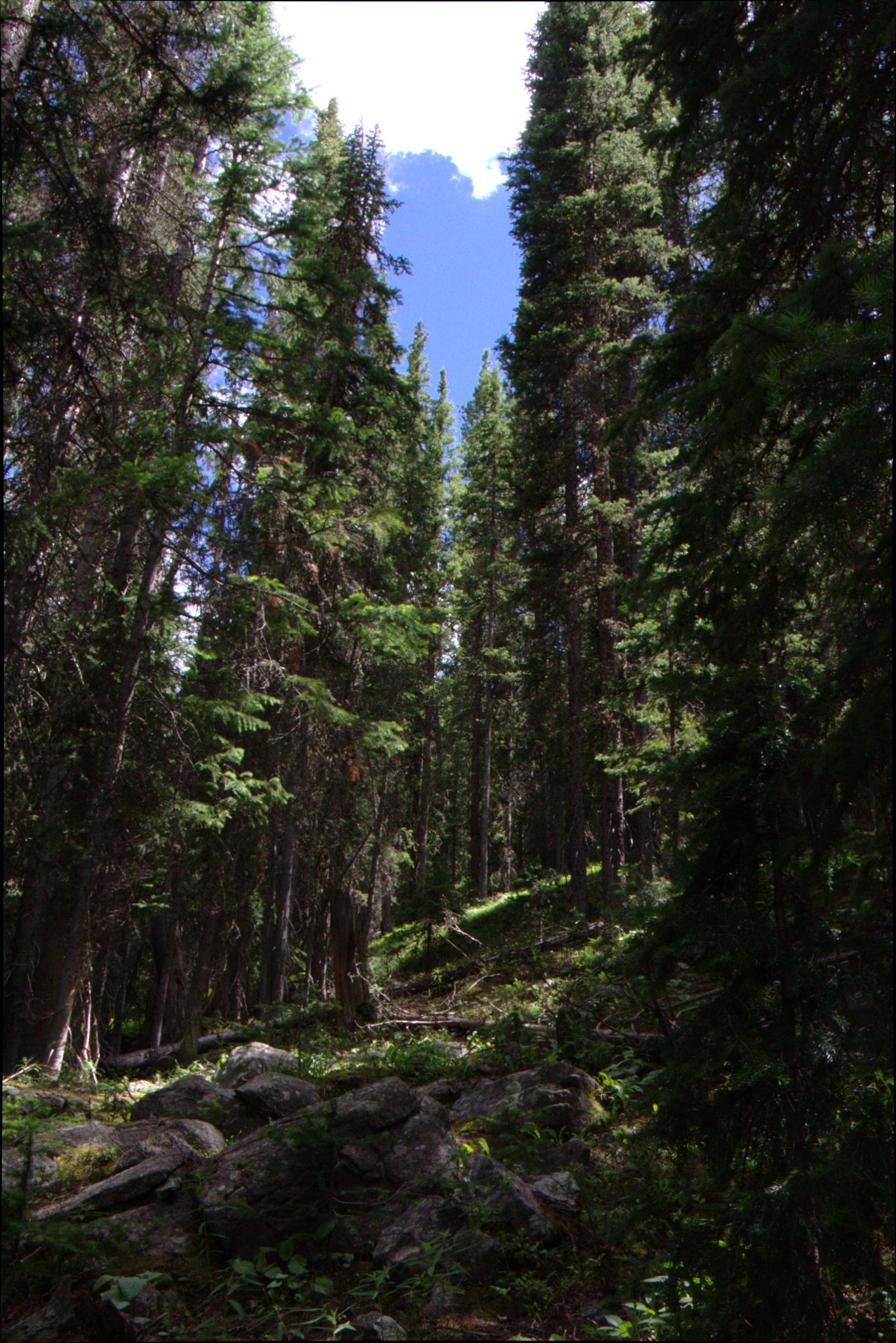 Hiking at Turquoise Lake