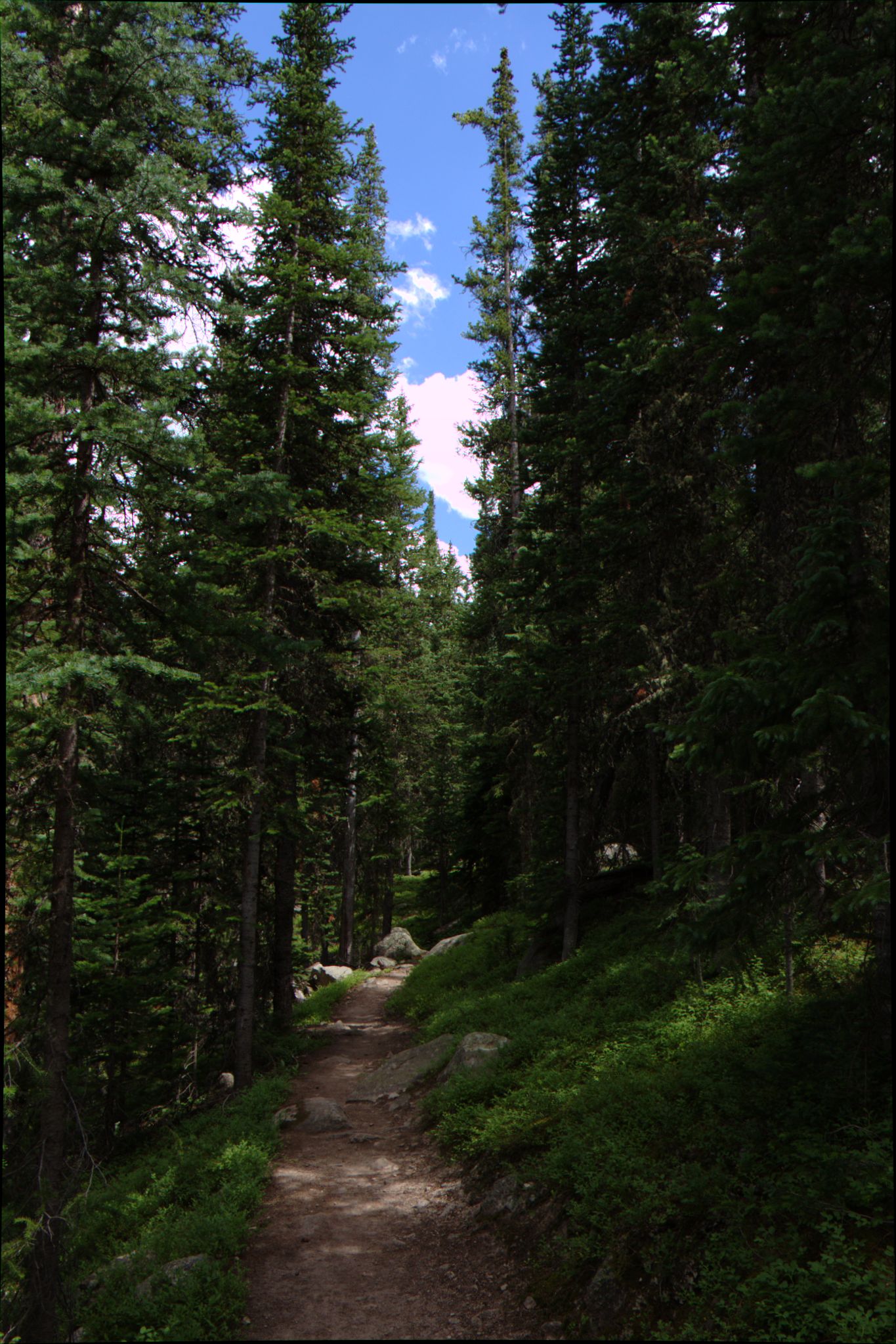 Hiking at Turquoise Lake