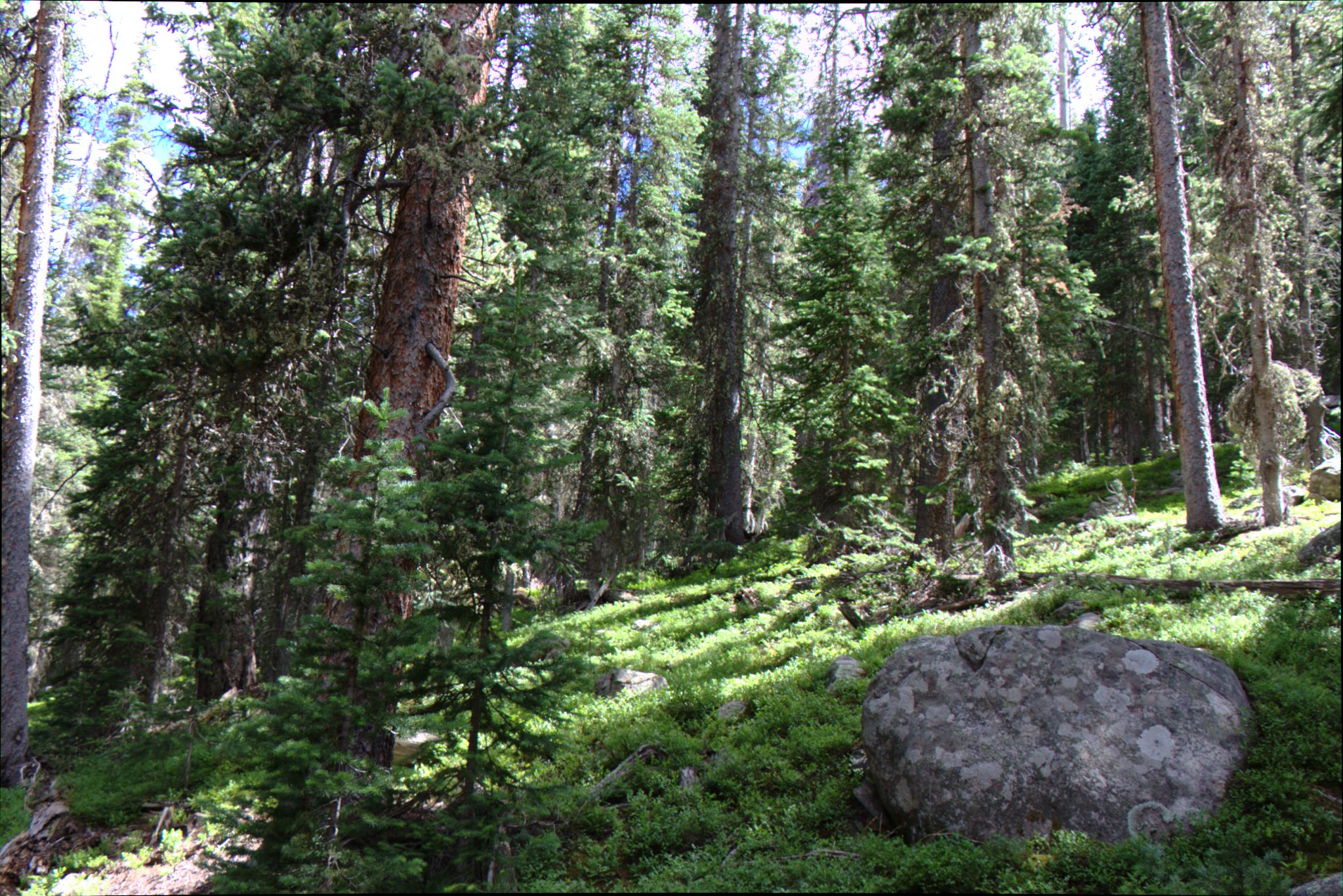 Hiking at Turquoise Lake