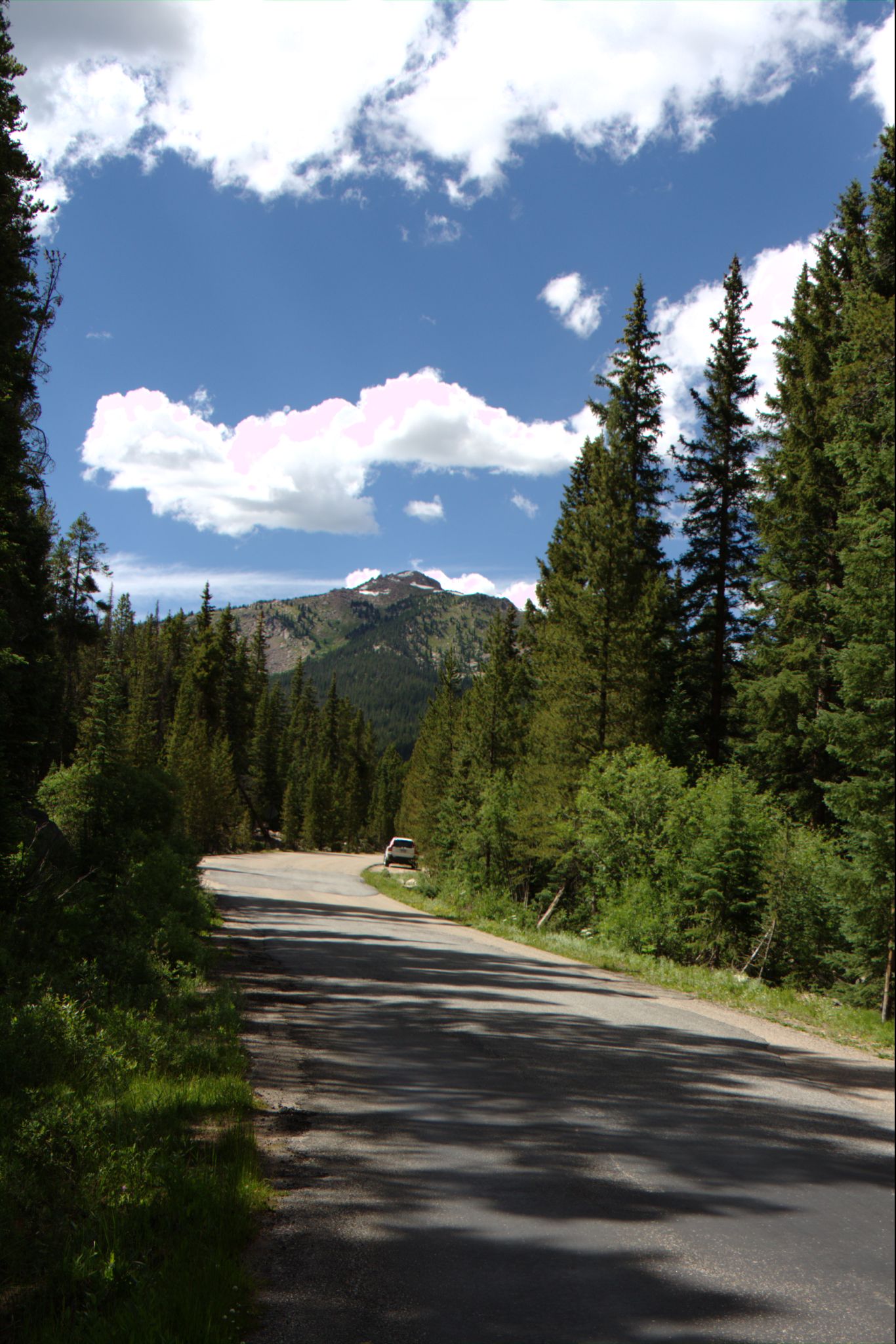 Hiking at Turquoise Lake