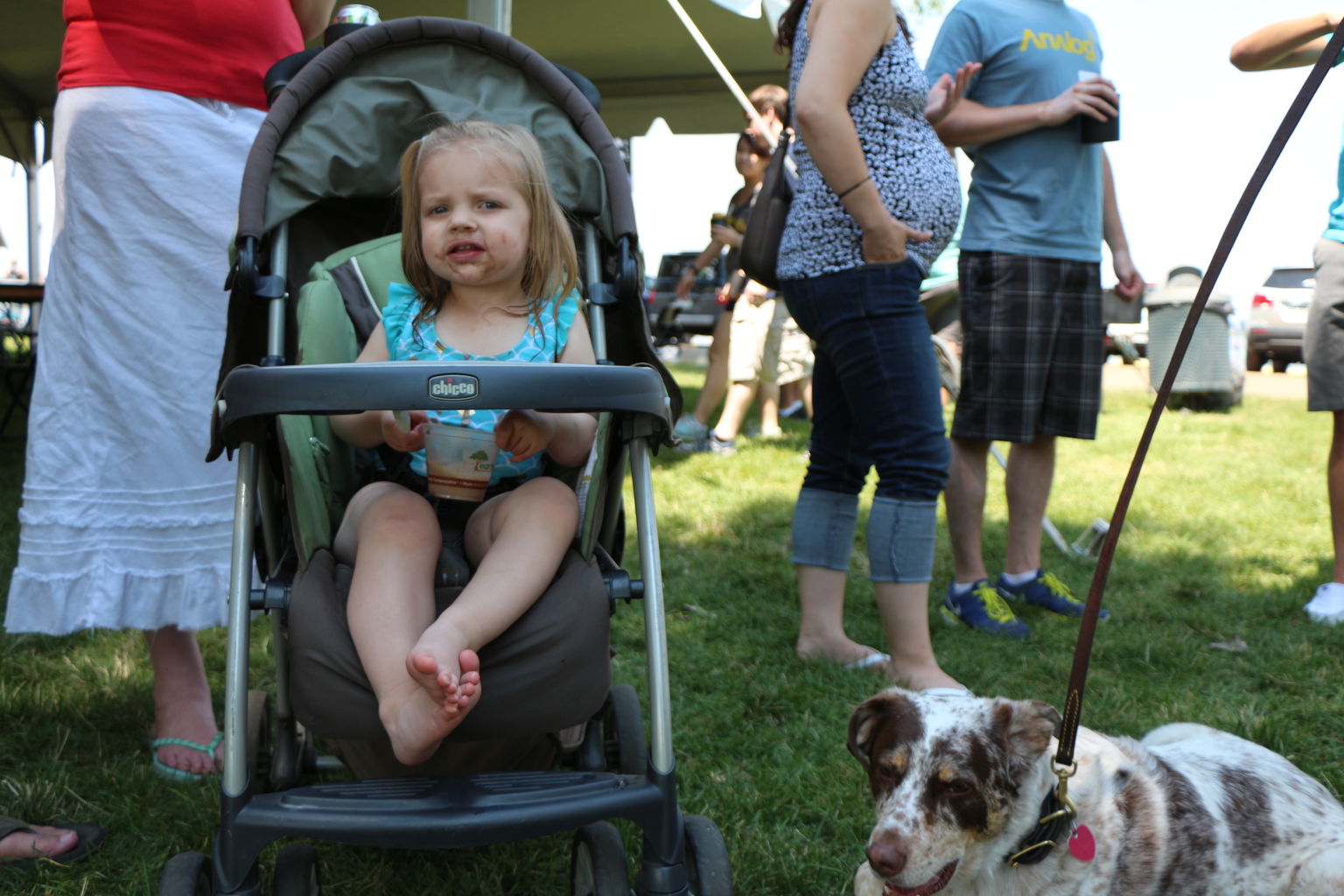 Peaksware 2016 Picnic