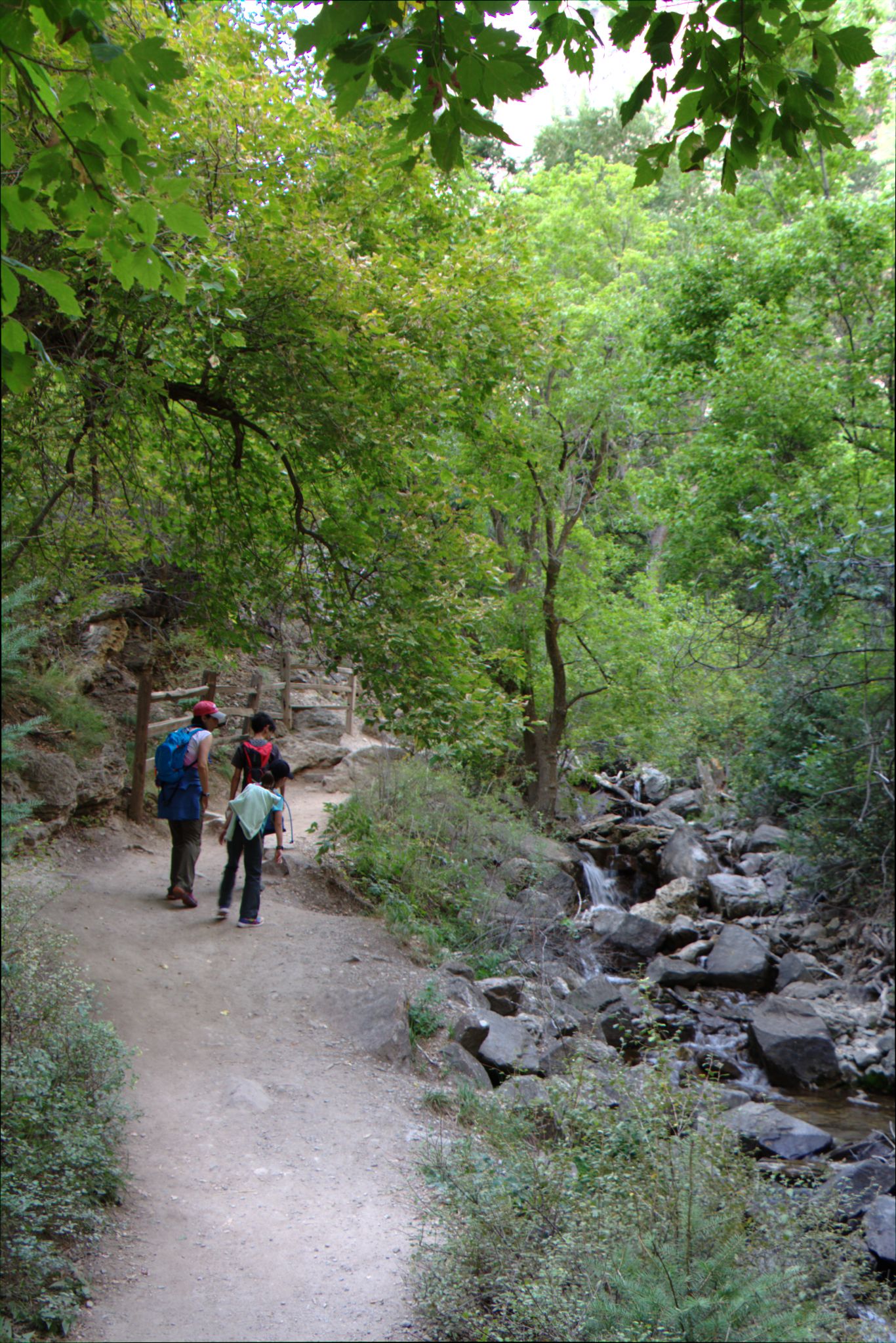 Hanging Lake Trail