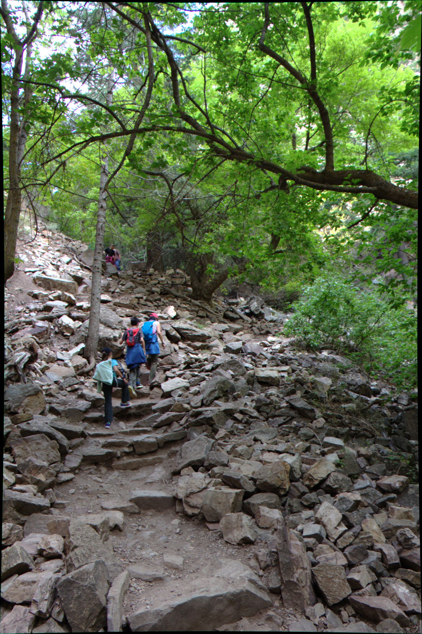 Hanging Lake Trail