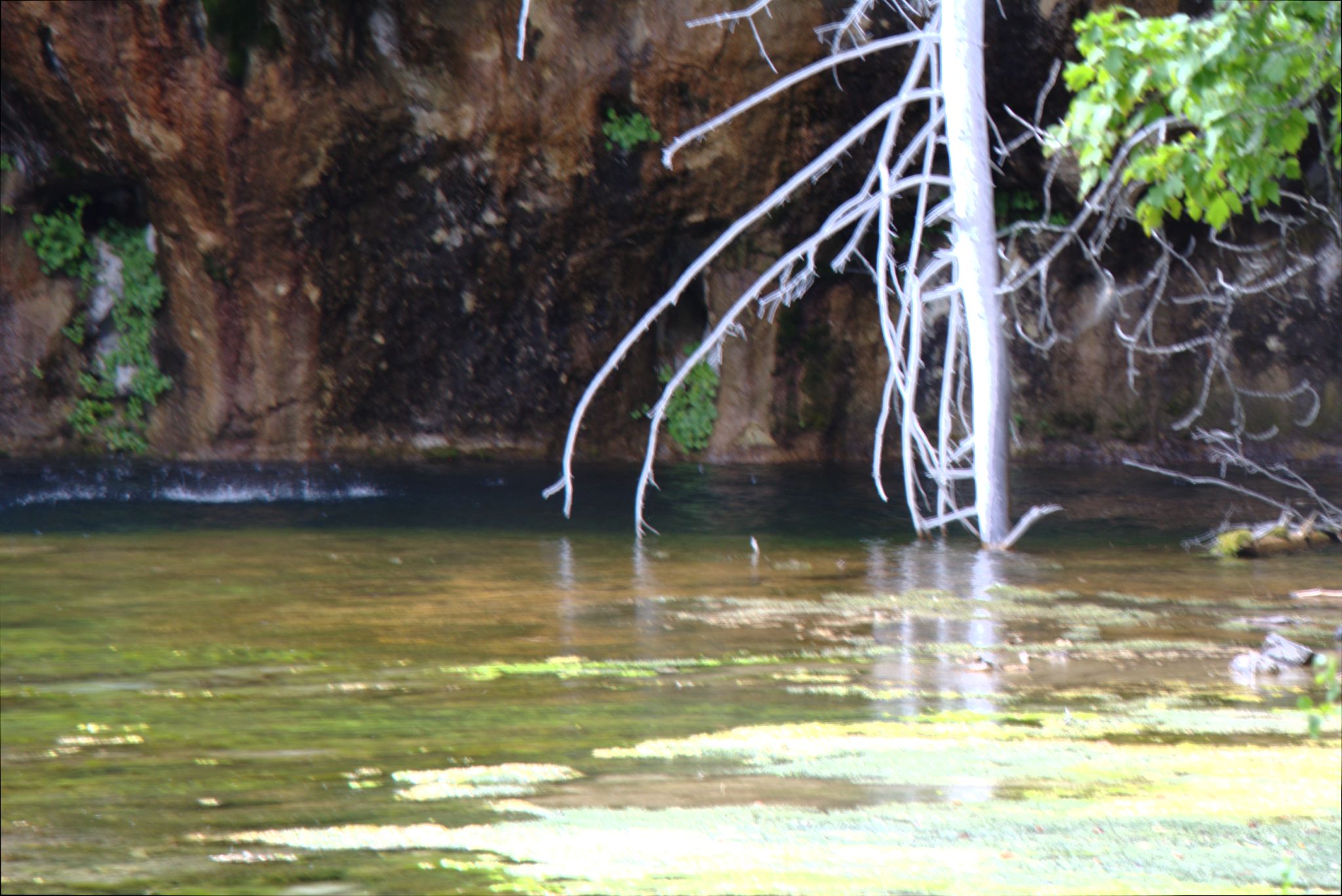 Hanging Lake Trail