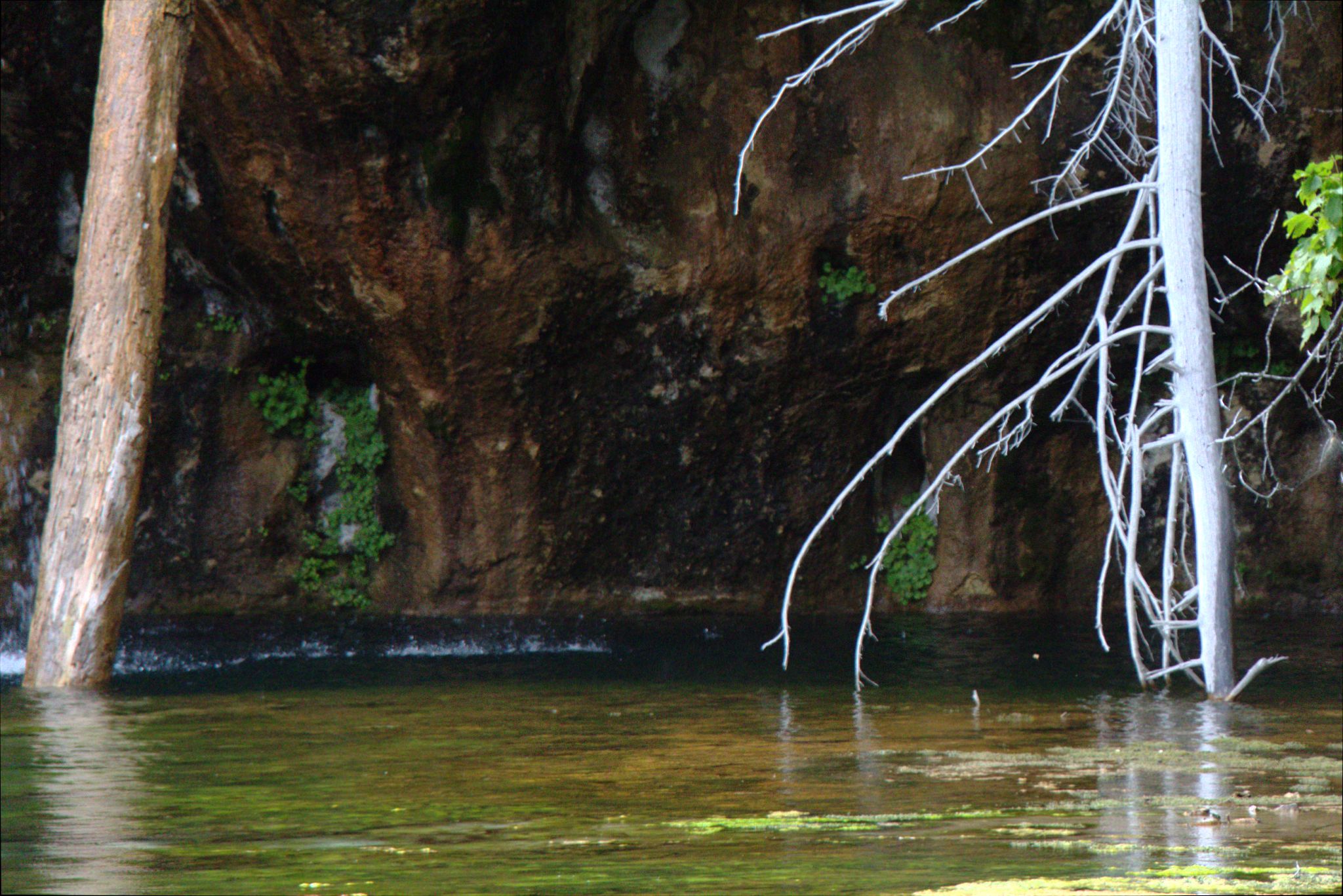 Hanging Lake Trail